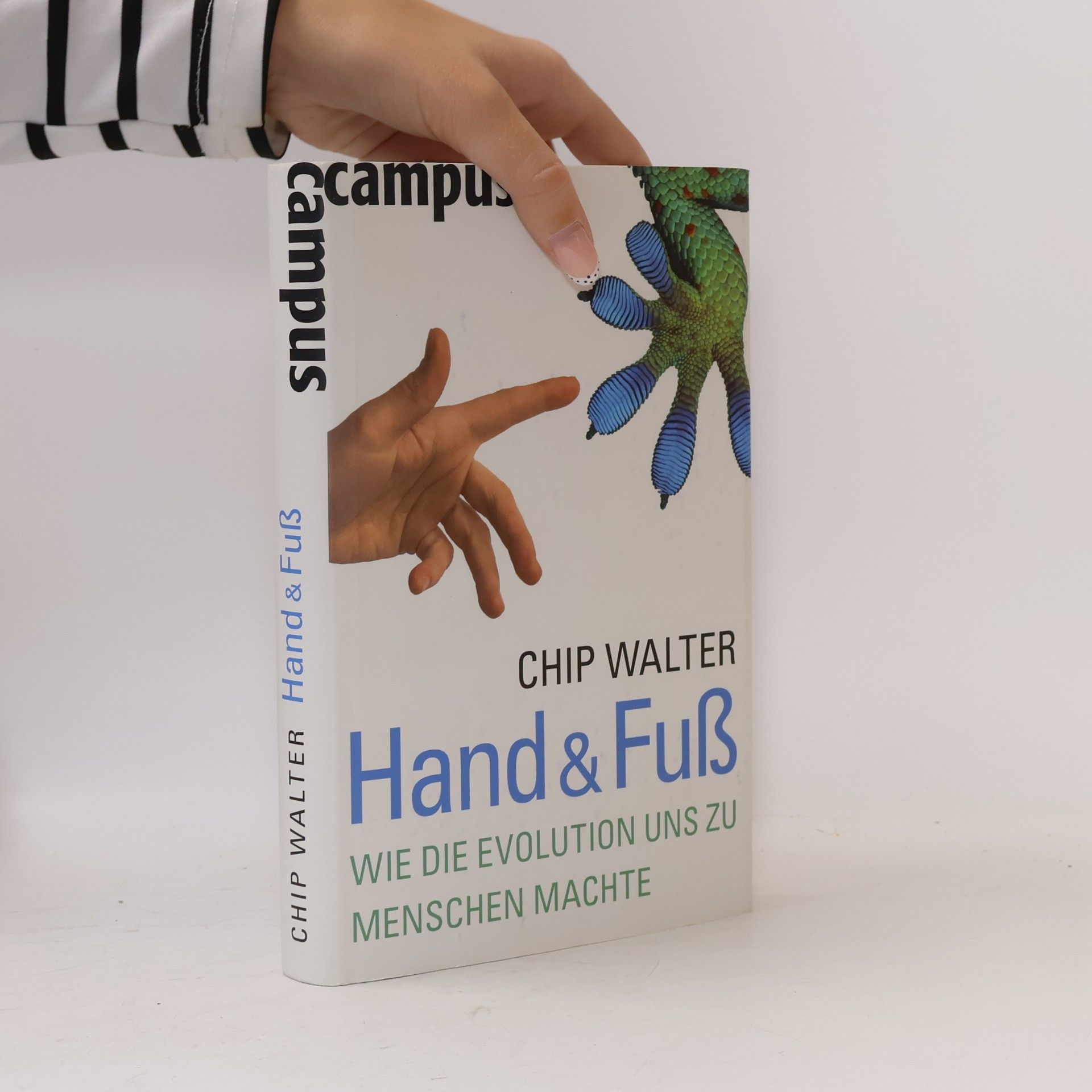 Chip Walter Hand & Fuß
