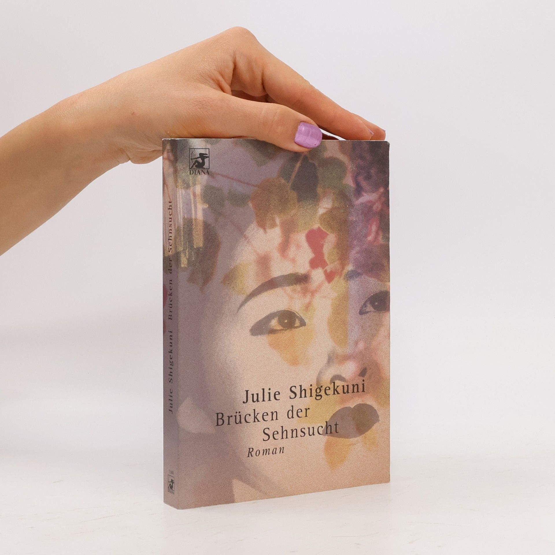 Julie Shigekuni Brücken der Sehnsucht