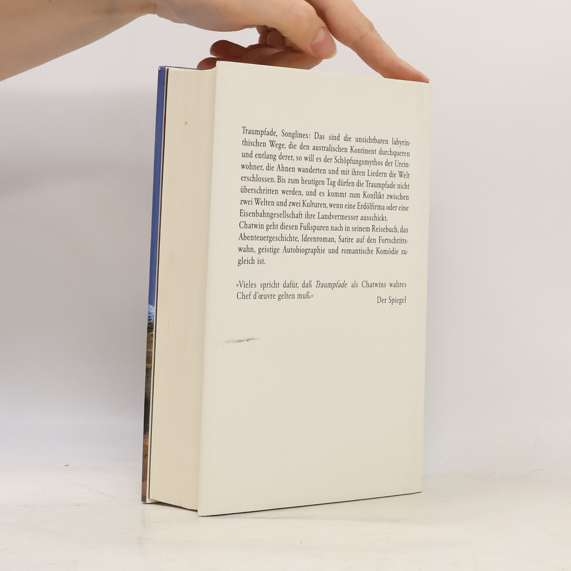 Bruce Chatwin Traumpfade
