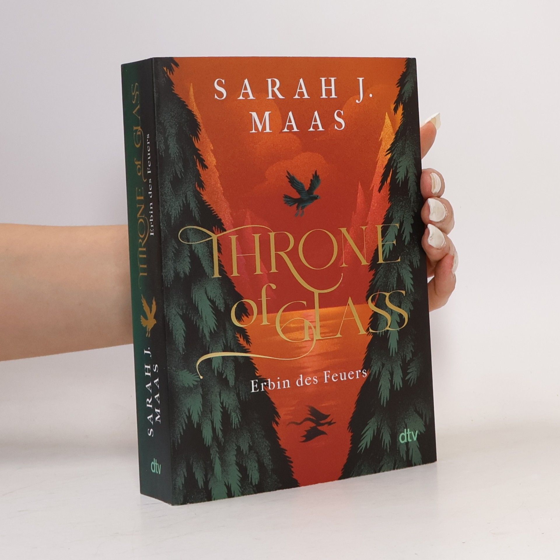 Sarah J. Maas Erbin des Feuers