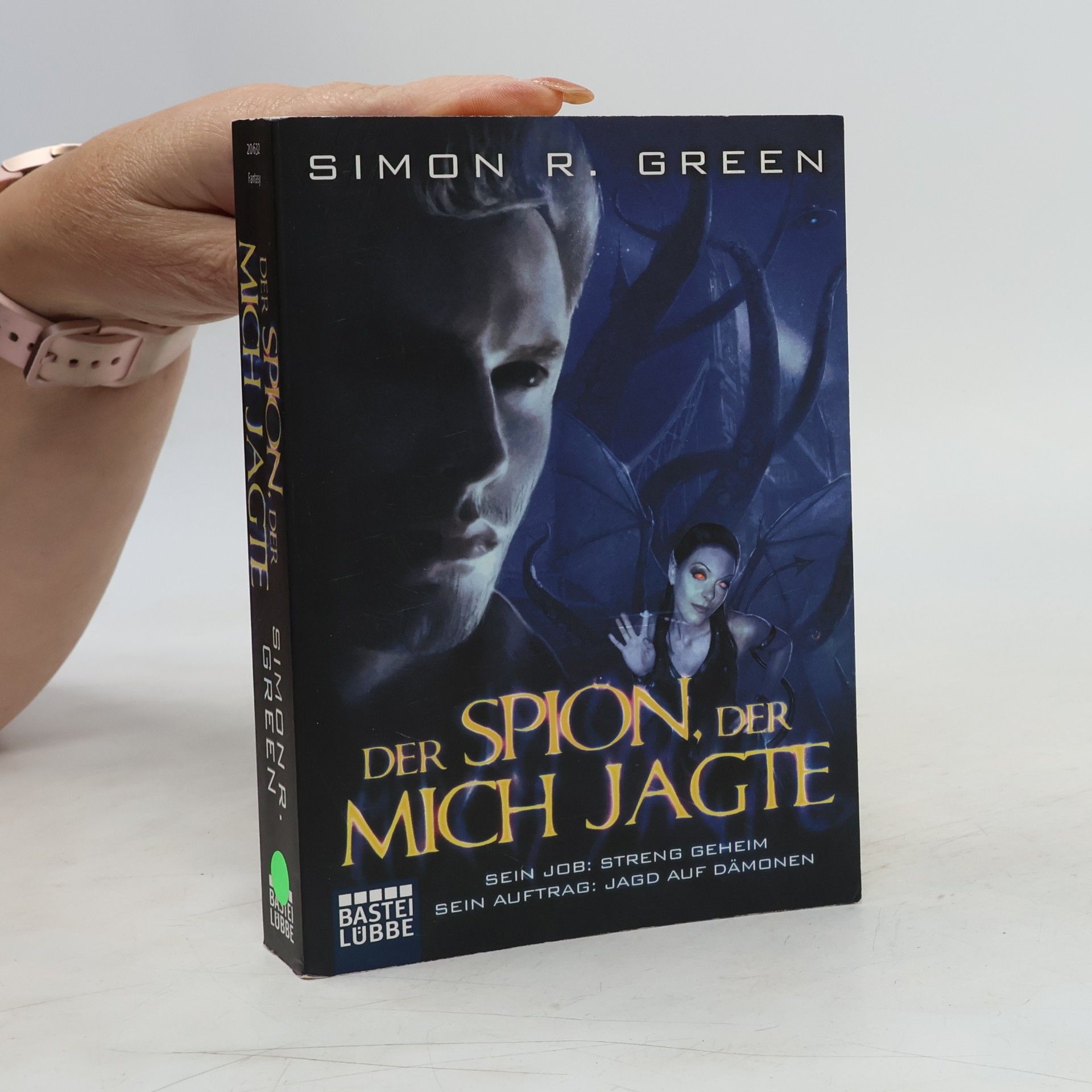 Der Spion, der mich jagte. Roman