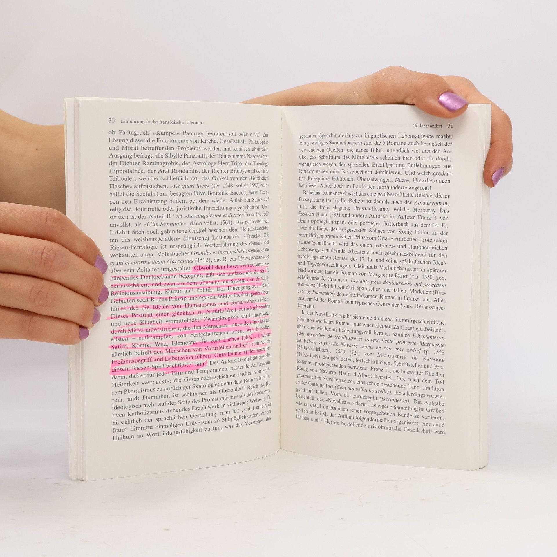 Heinz Willi Wittschier Die französische Literatur