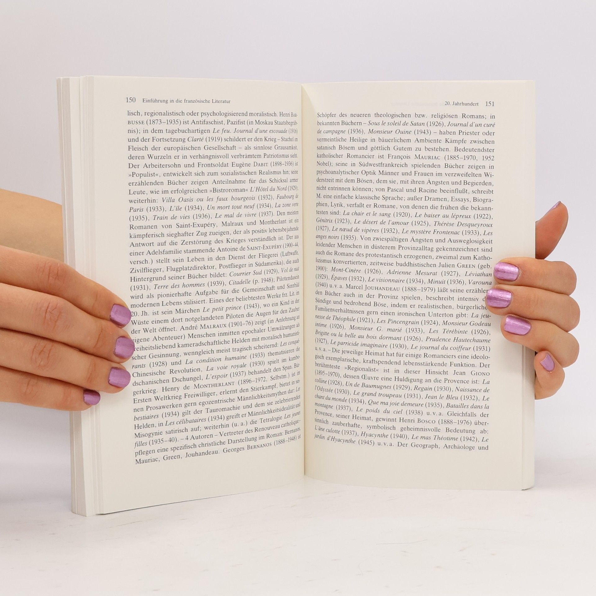Heinz Willi Wittschier Die französische Literatur