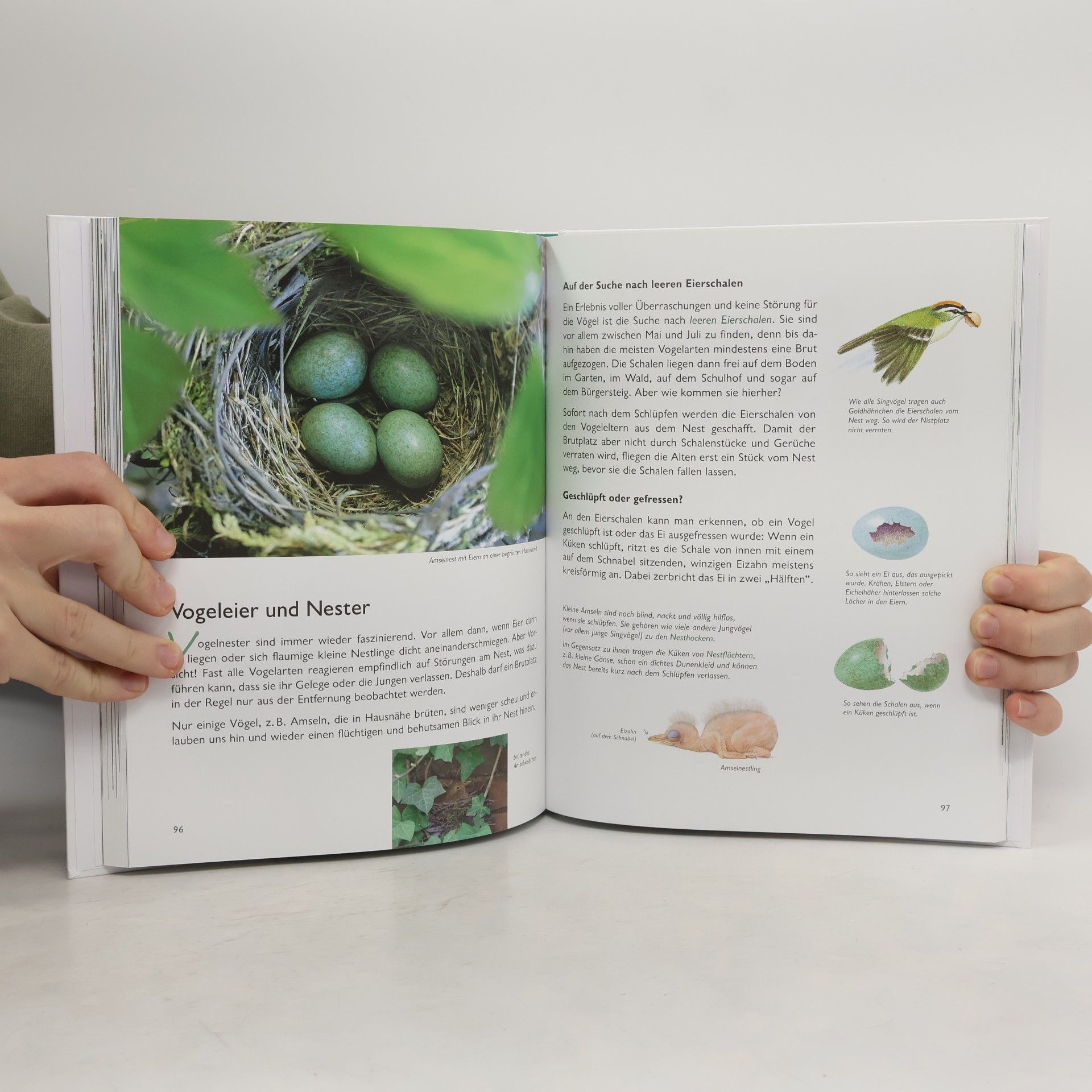 Ursula Wawra Wawra's Naturbuch