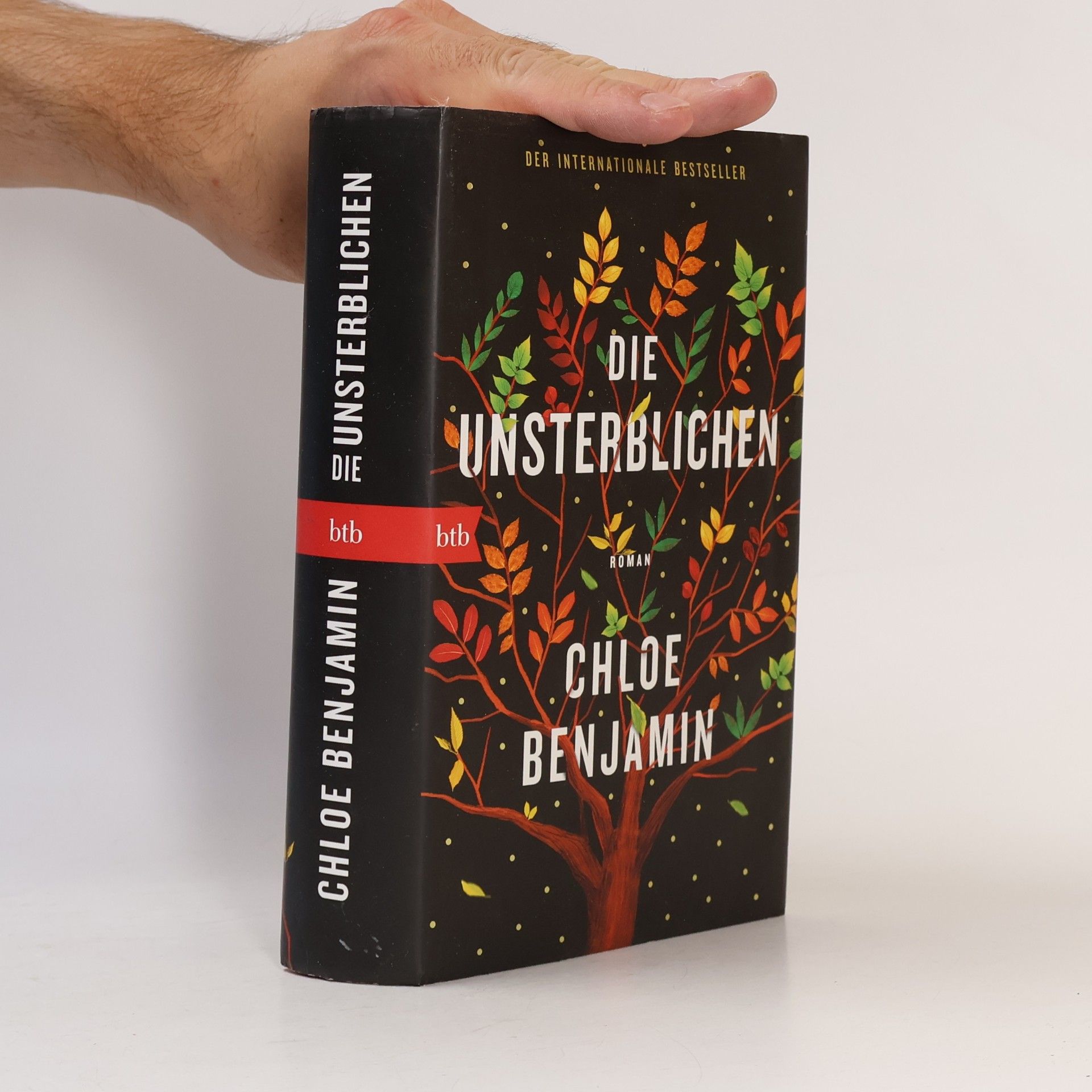 Chloe Benjamin Die Unsterblichen