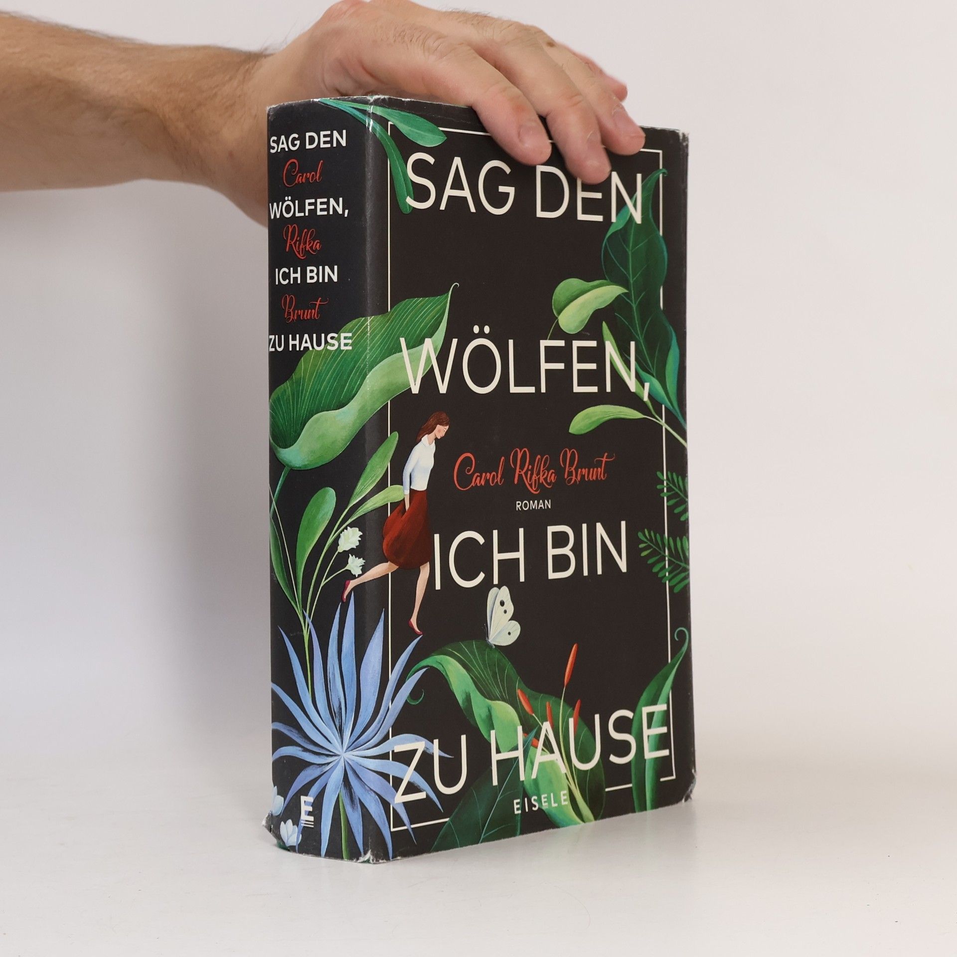 Carol Rifka Brunt Sag den Wölfen, ich bin zu Hause