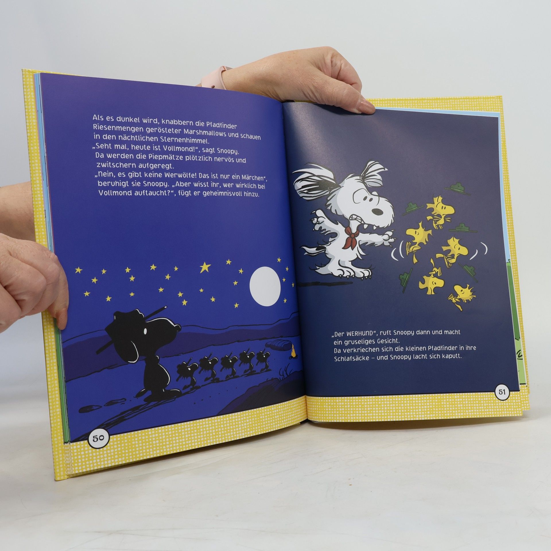 Kolektiv autorů Peanuts: 5-Minuten-Geschichten