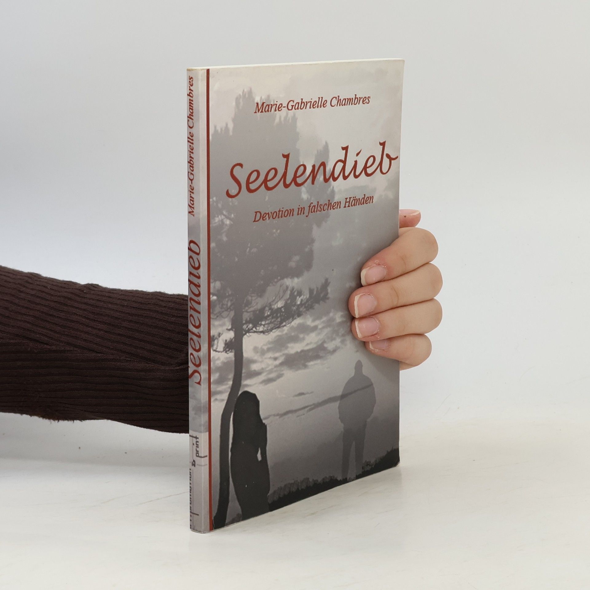 Friedrich-W. Schneider Seelendieb. Devotion in falschen Händen
