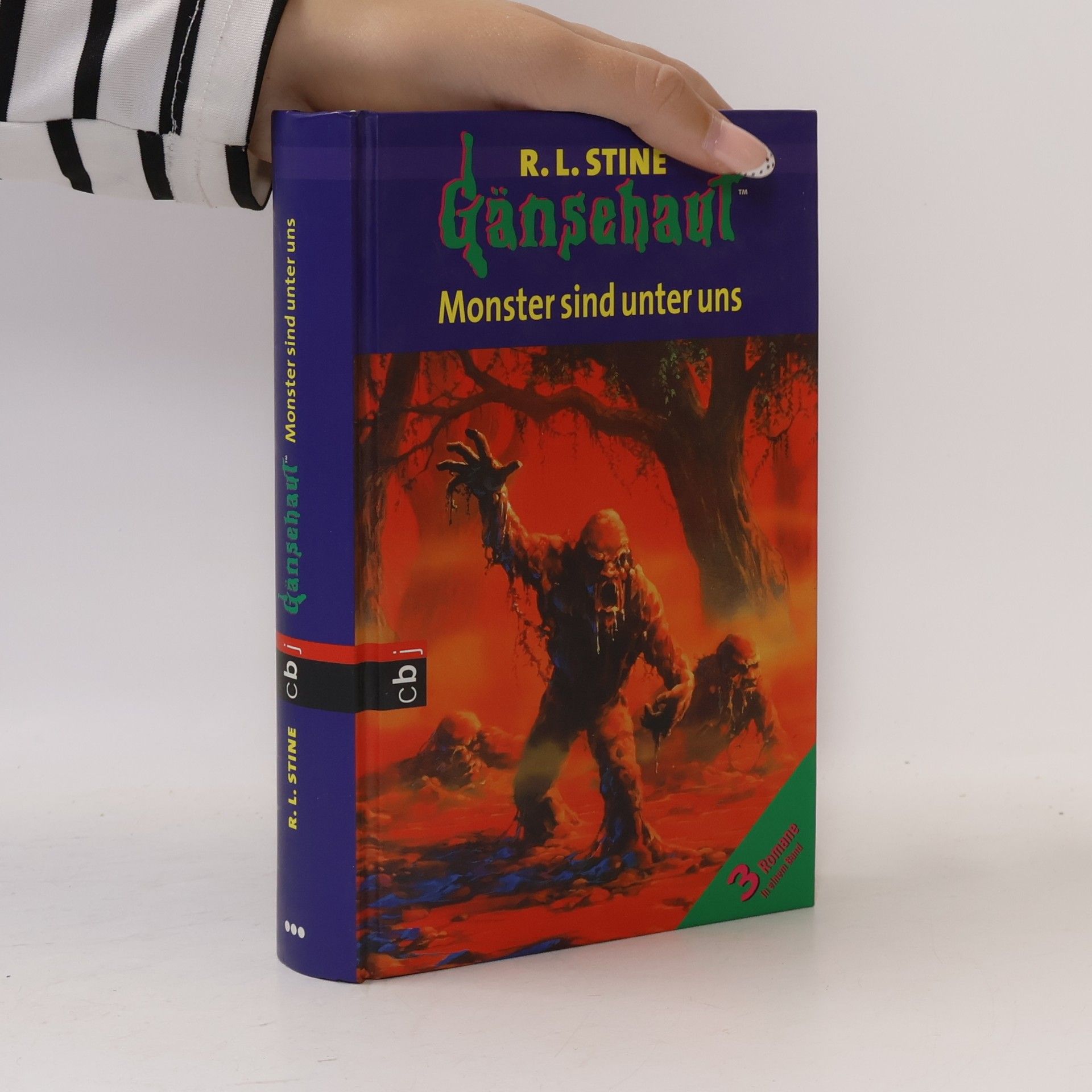 R. L. Stine Monster sind unter uns