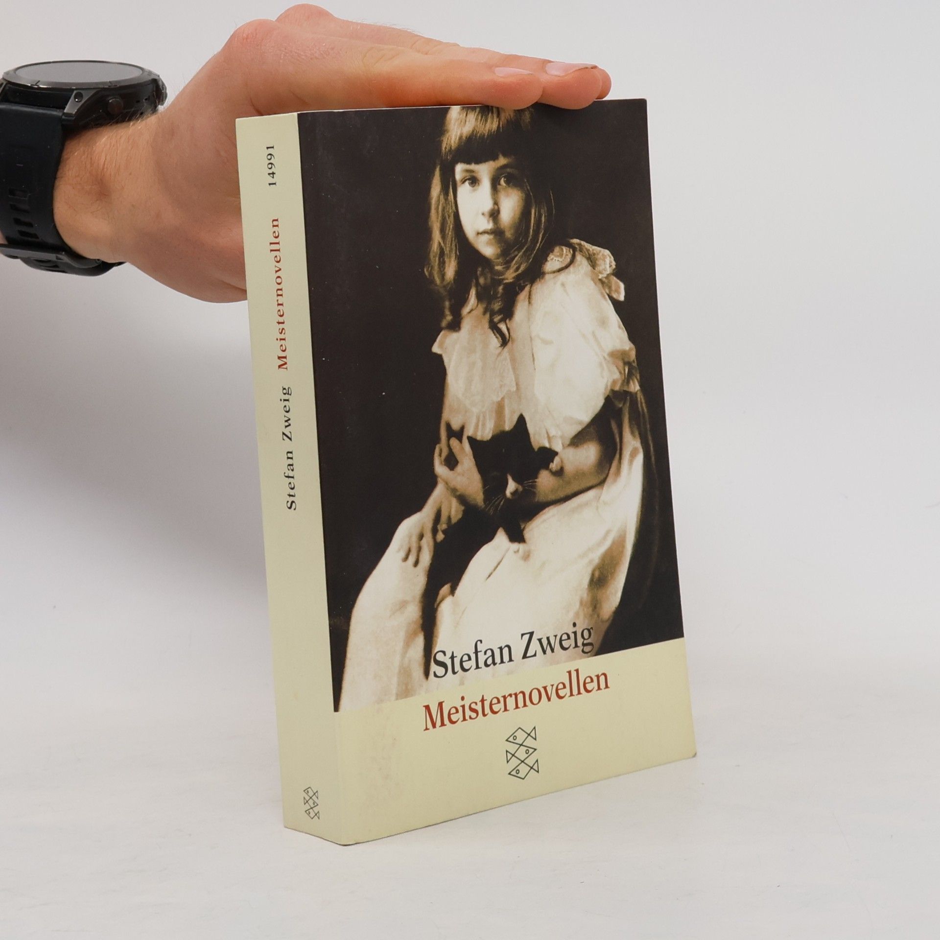 Stefan Zweig Meisternovellen