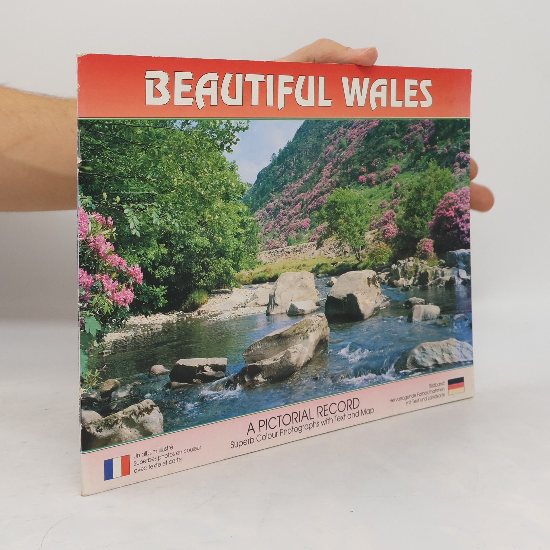 Autorenkollektiv Beautiful Wales