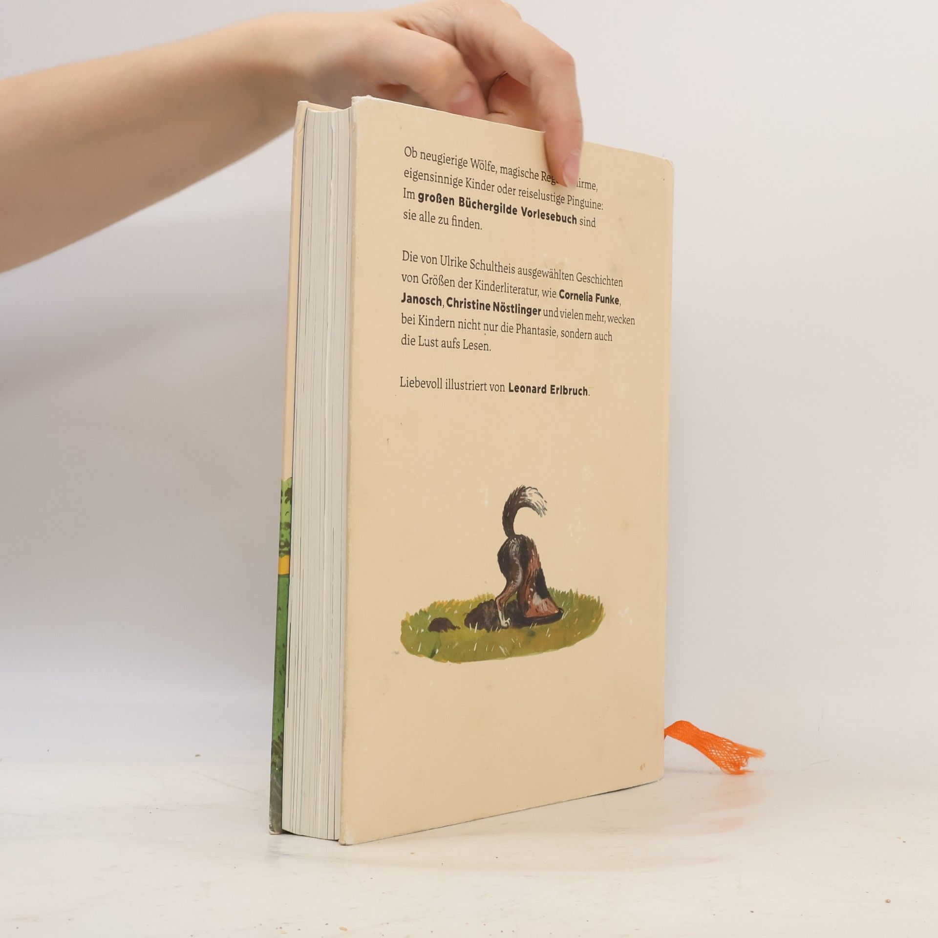 Ulrike Schultheis Das große Büchergilde-Vorlesebuch