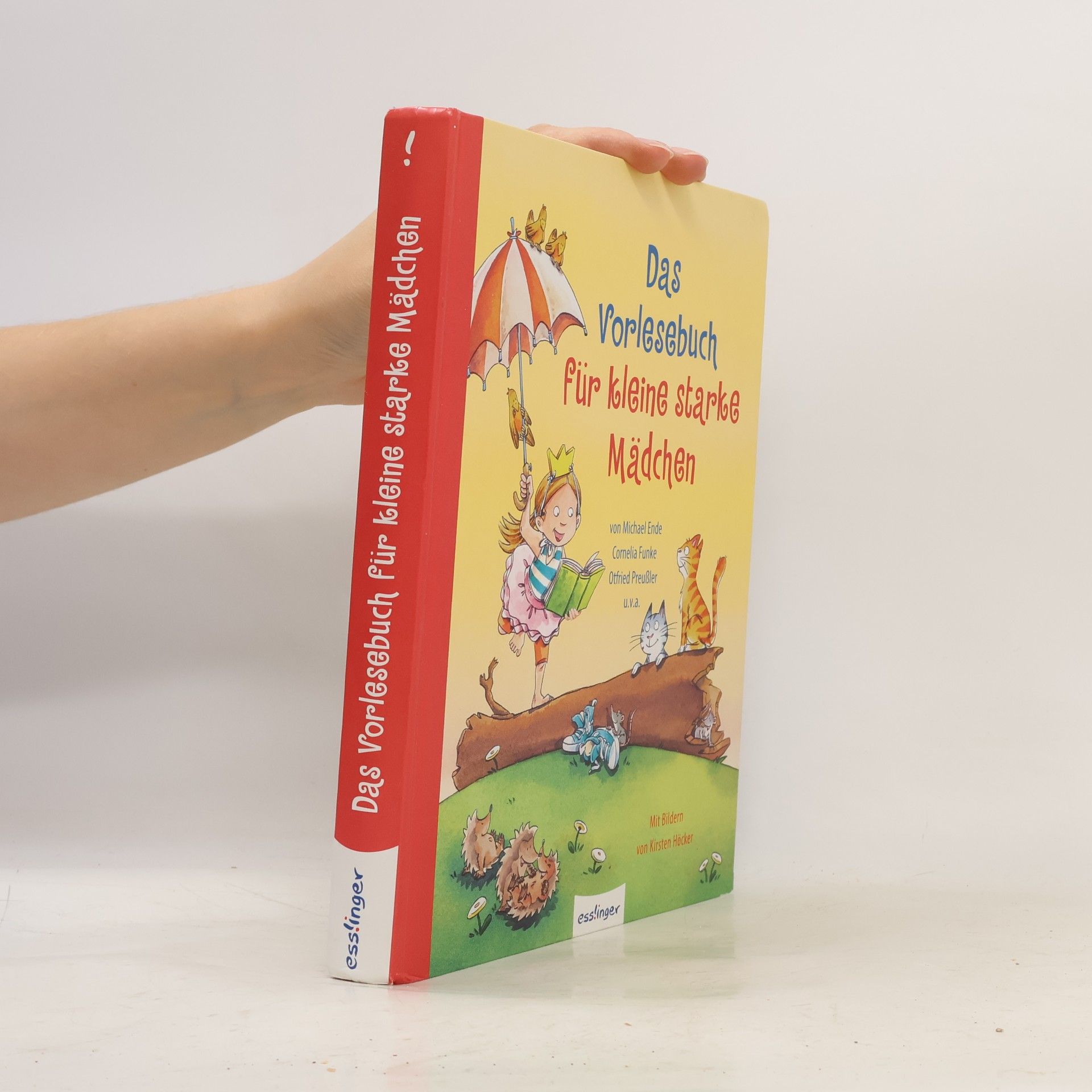 Kirsten Höcker Das Vorlesebuch für kleine starke Mädchen