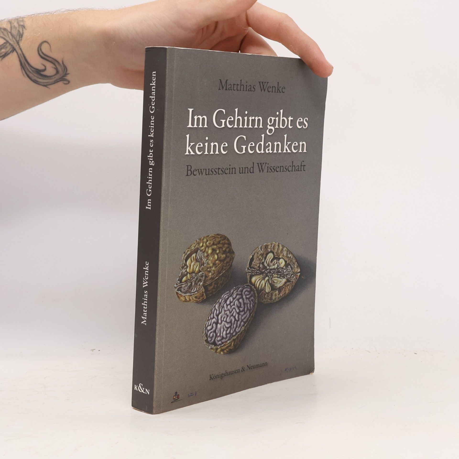 Matthias Wenke Im Gehirn gibt es keine Gedanken