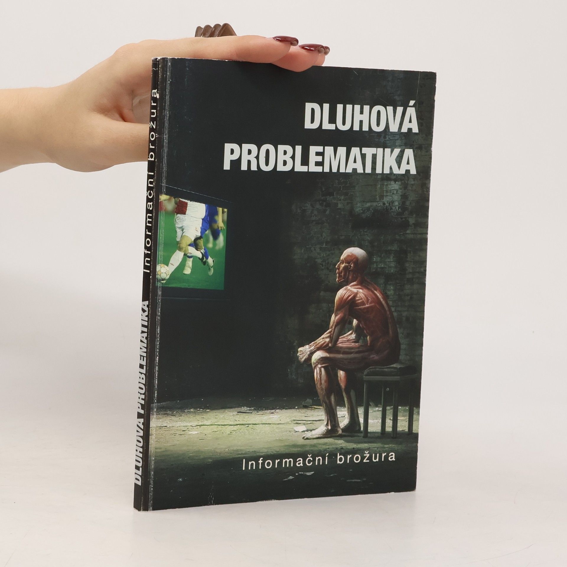 Dluhová problematika
