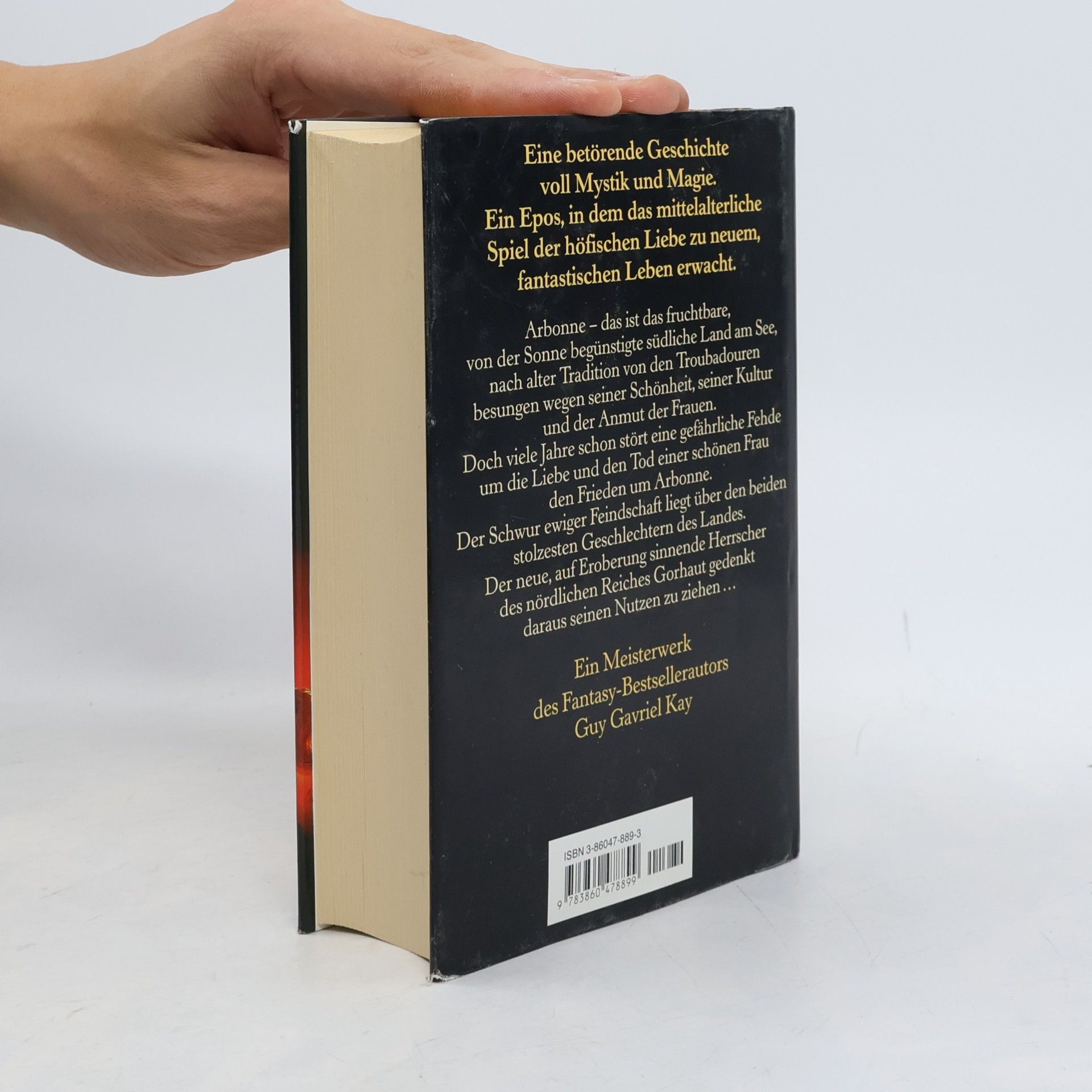 Guy Gavriel Kay Ein Lied für Arbonne