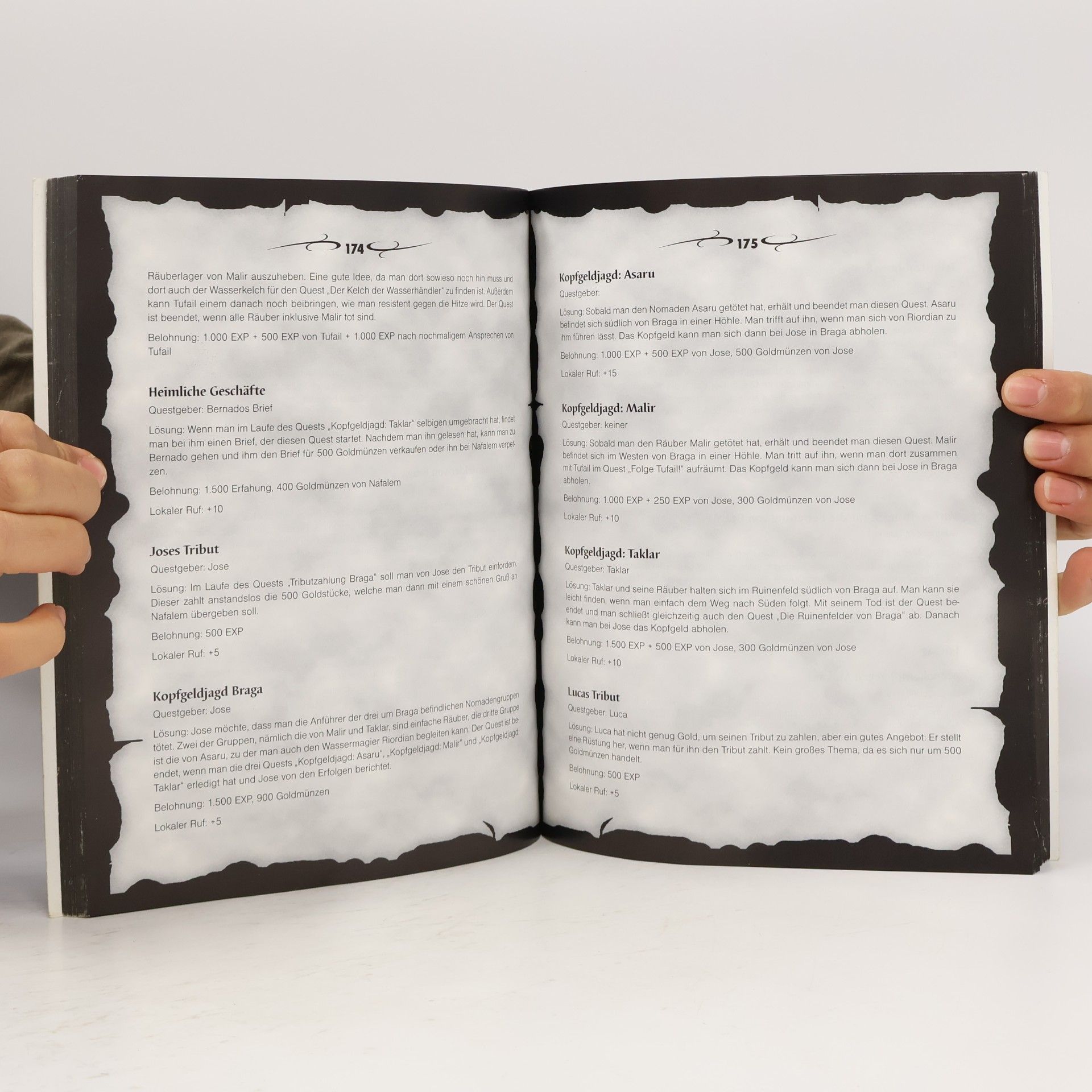 Stefan Bollmann Gameguide zu Gothic 3