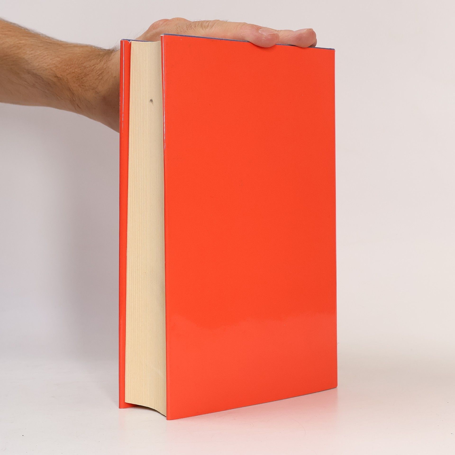 Ursula Kapfhammer Oberpfälzer Sprachmosaik: Oberpfälzisches Lesebuch