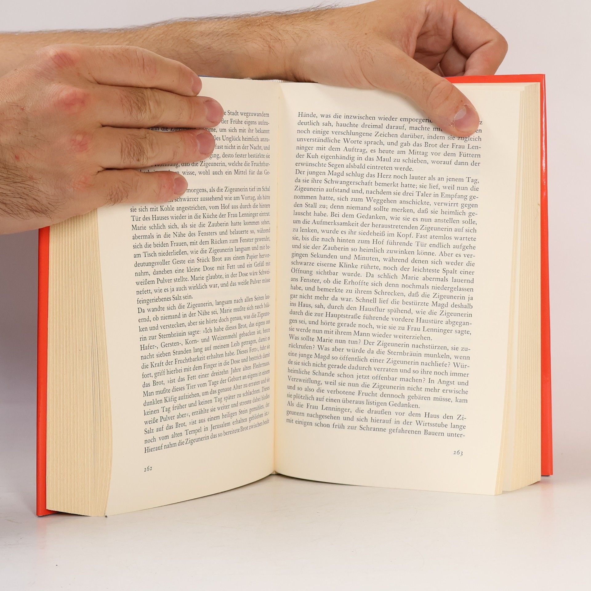 Ursula Kapfhammer Oberpfälzer Sprachmosaik: Oberpfälzisches Lesebuch