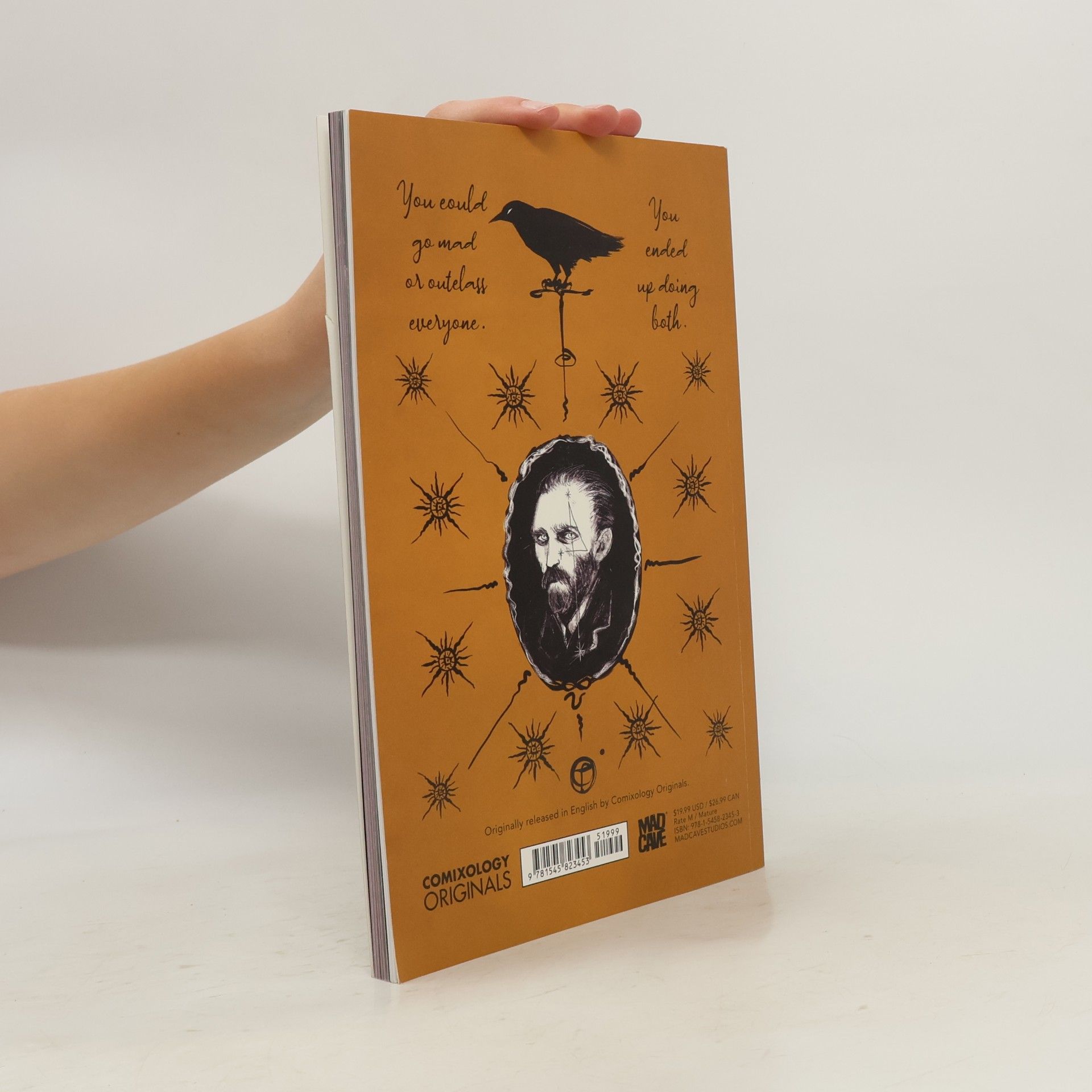 Francesco Barilli Vincent Van Gogh: Sadness Will Last Forever (Volume 3) (Becco Giallo)