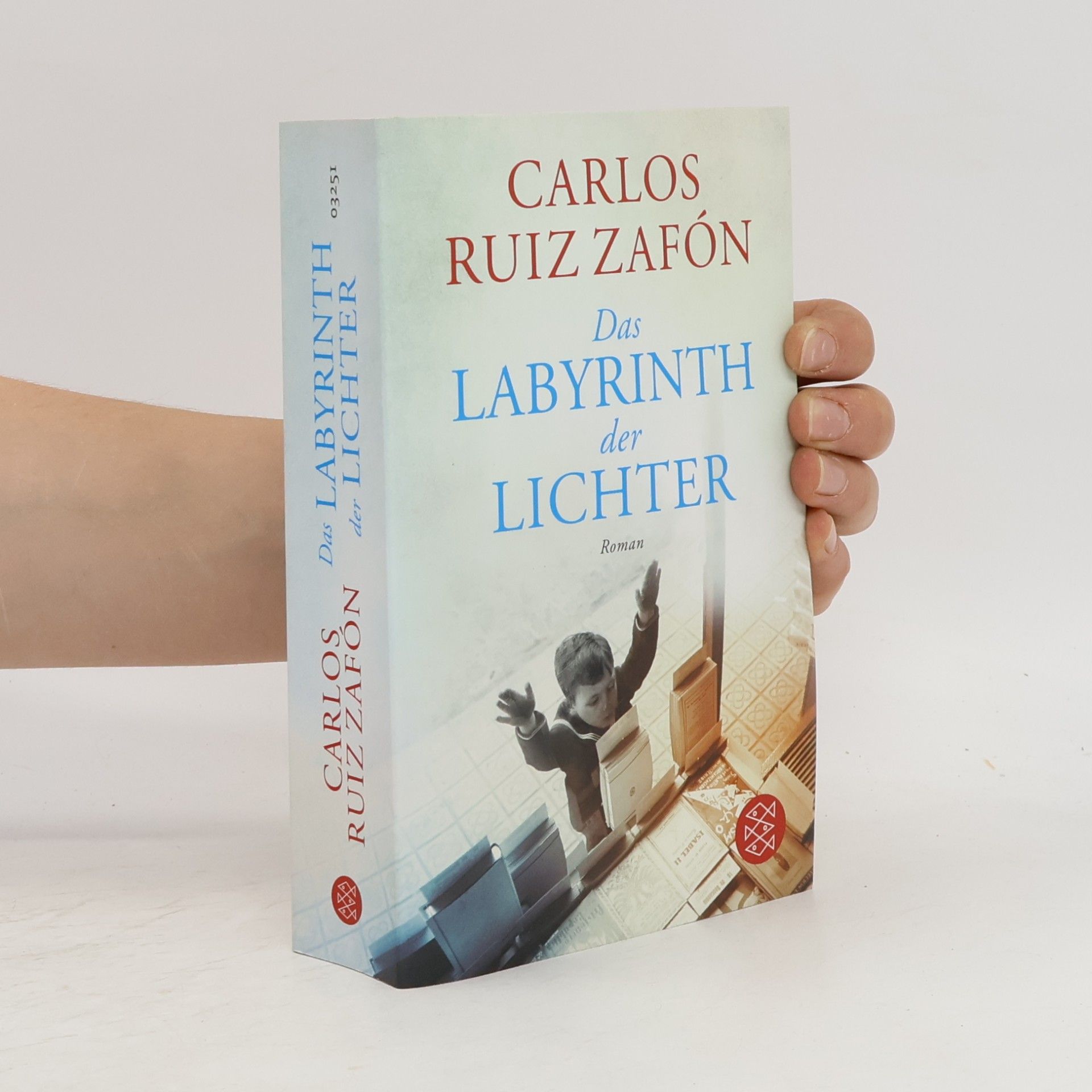 Carlos Ruiz Zafón Das Labyrinth der Lichter