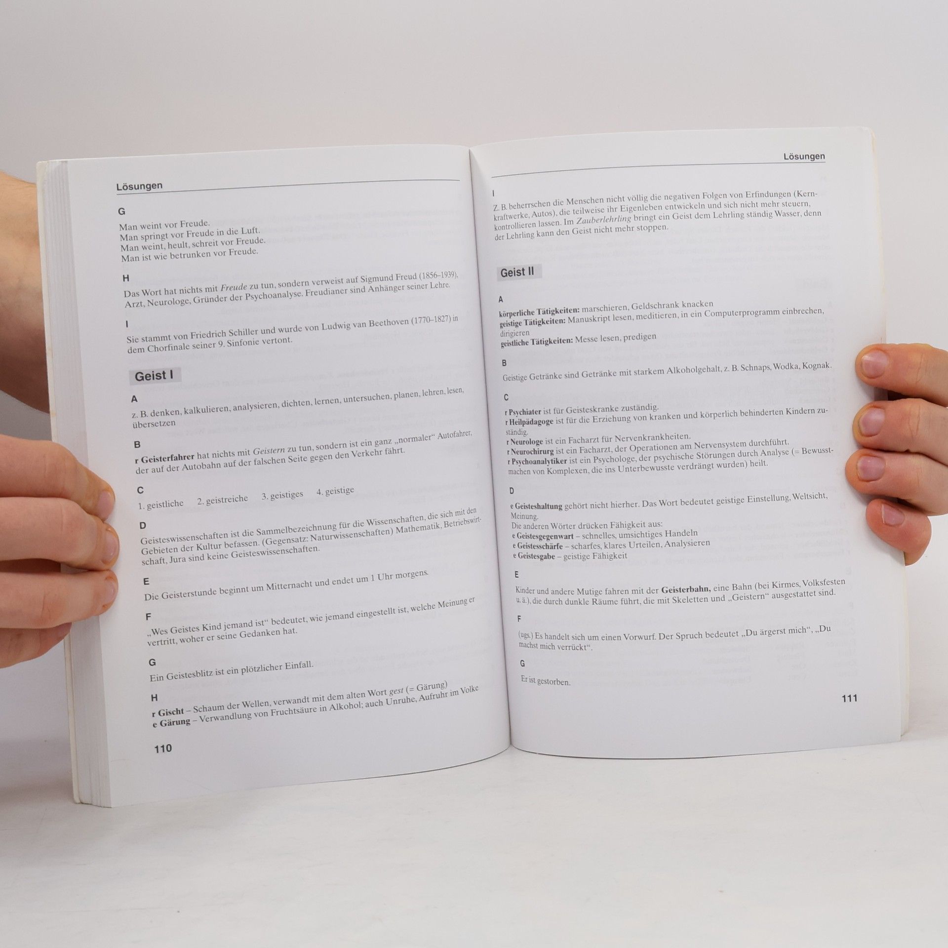 Mary L. Apelt Wortschatz und mehr: Übungen für die Mittel- und Oberstufe