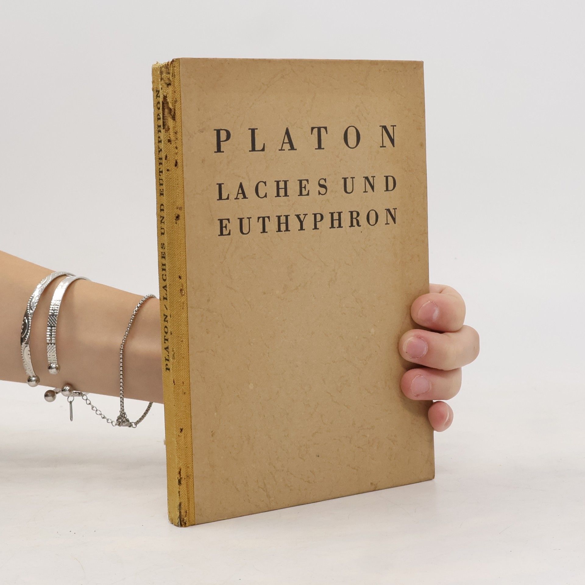 Gustav Schneider Laches und Euthyphron