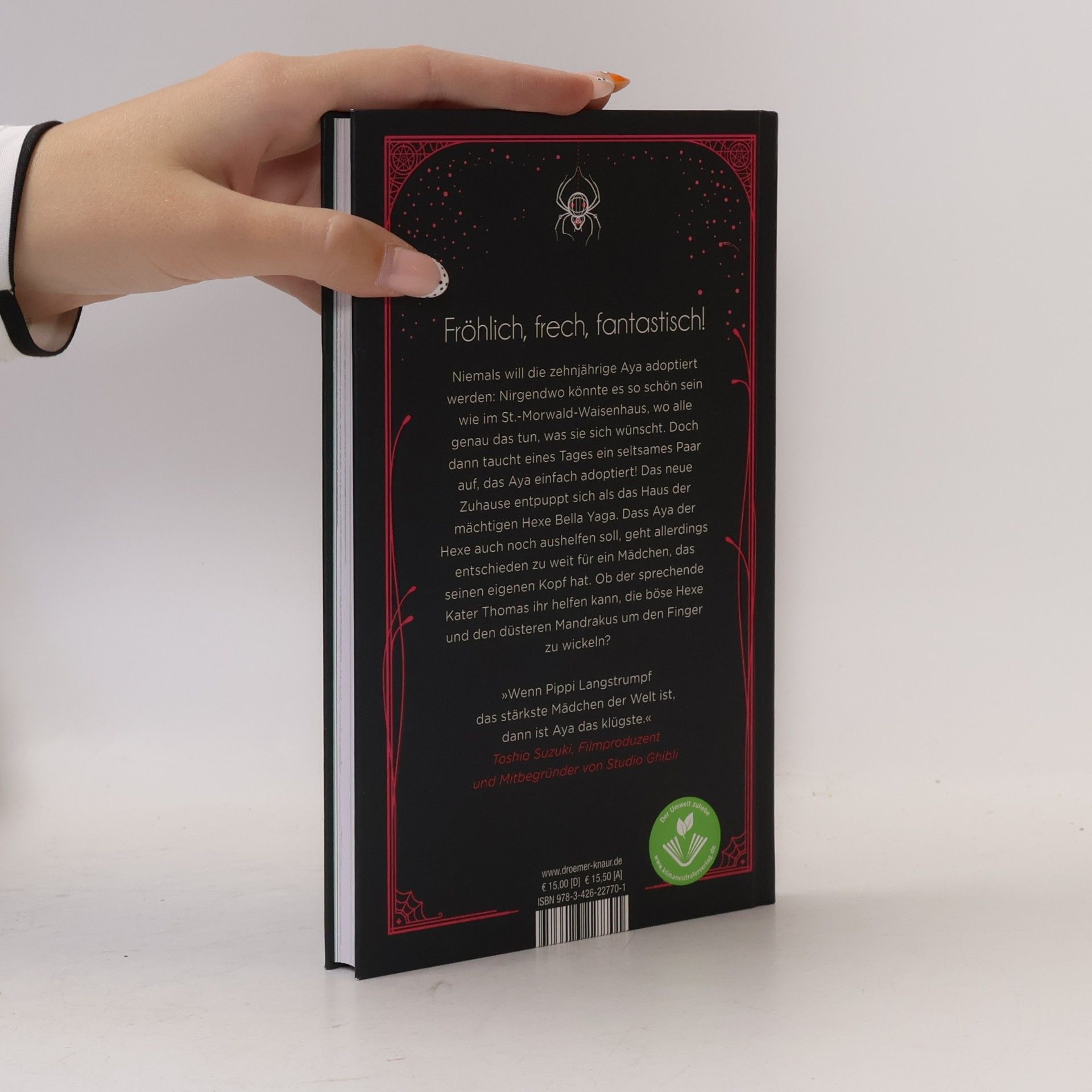 Diana Wynne Jones Aya und die Hexe