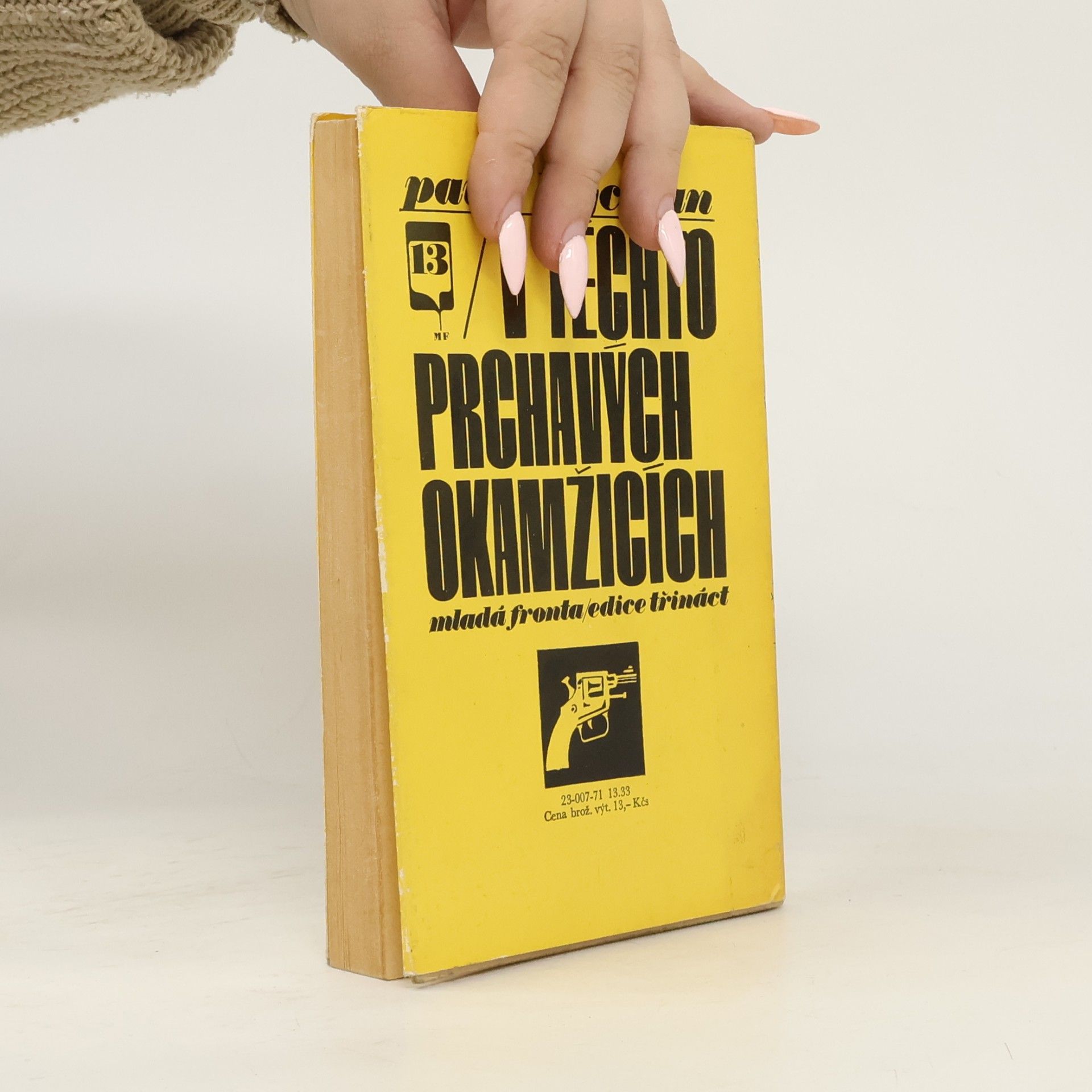 Pavel Hejcman V těchto prchavých okamžicích