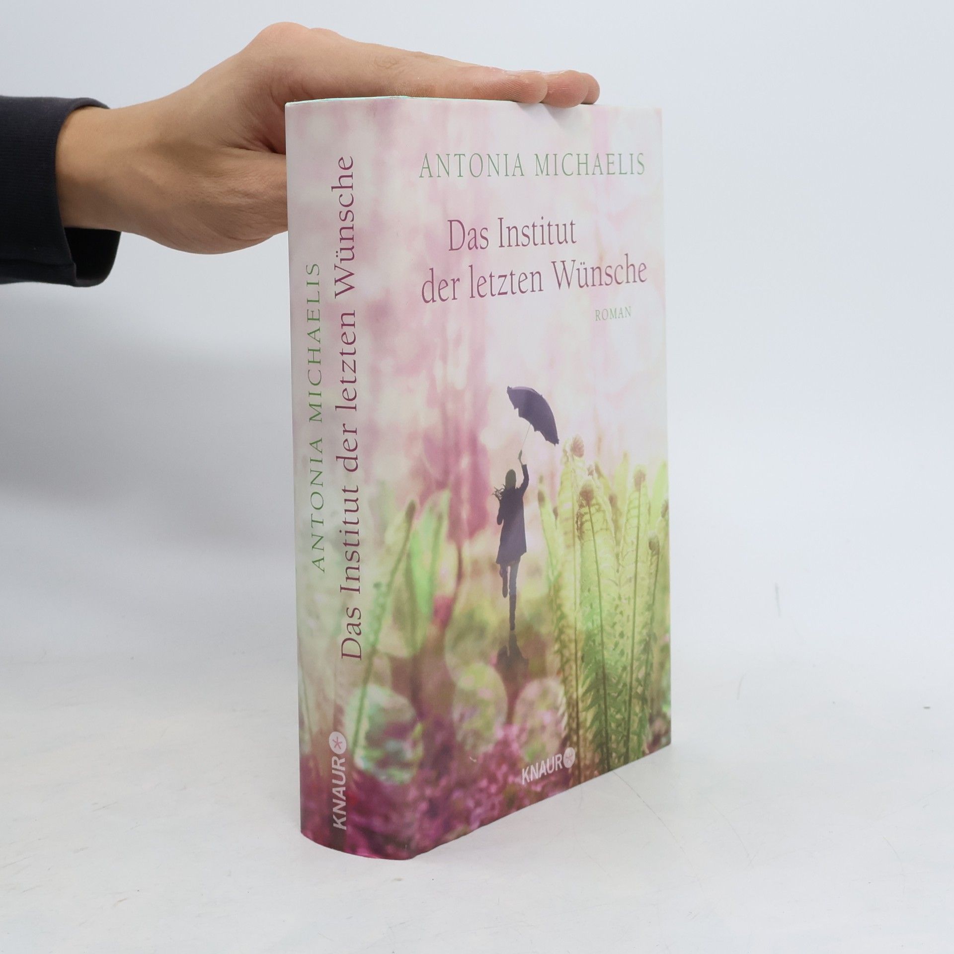 Antonia Michaelis Das Institut der letzten Wünsche