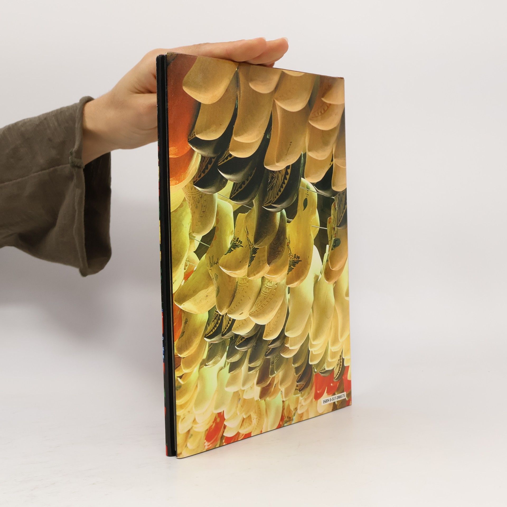 Autores varios Holland. A Picture Book to Remember her by