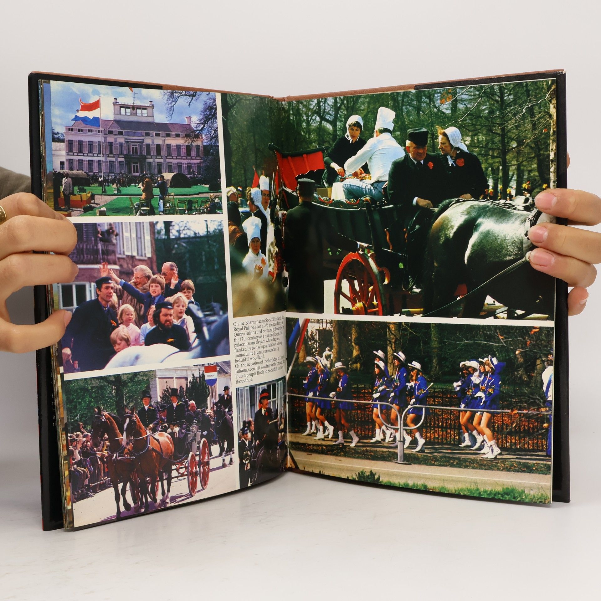 Autores varios Holland. A Picture Book to Remember her by
