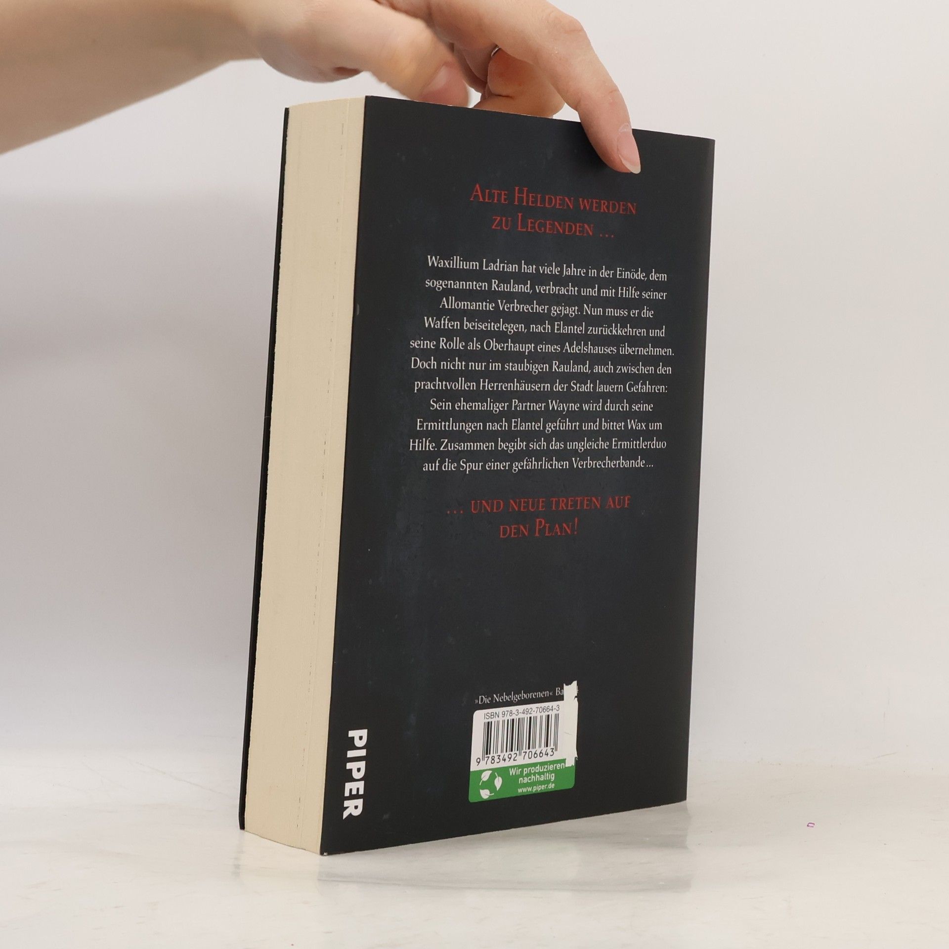 Brandon Sanderson Hüter des Gesetzes