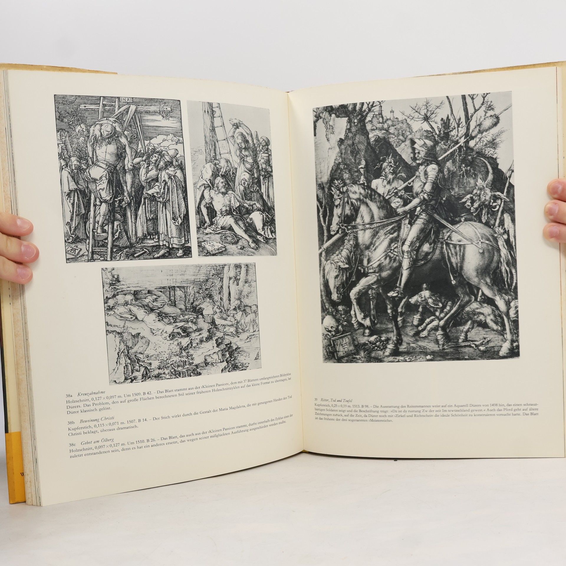 Hans Eckart Rübesamen Dürer