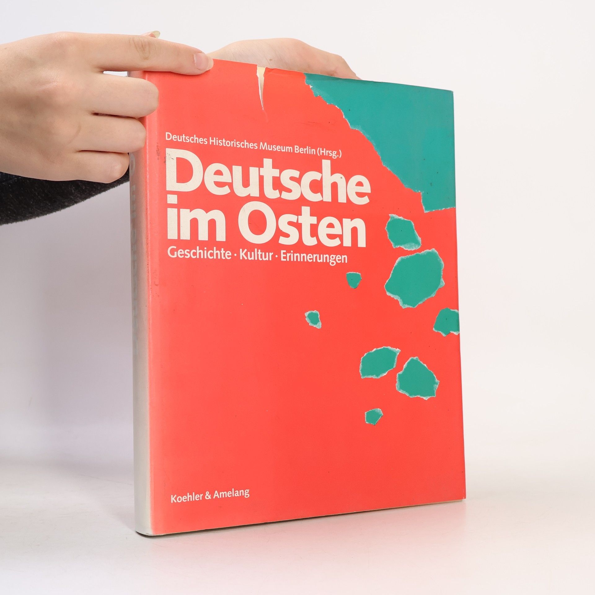 Kolektiv autorů Deutsche im Osten