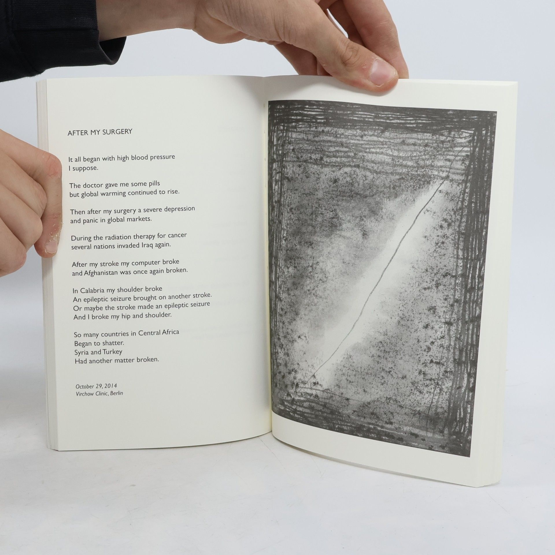 Jimmie Durham Particle/Word Theory