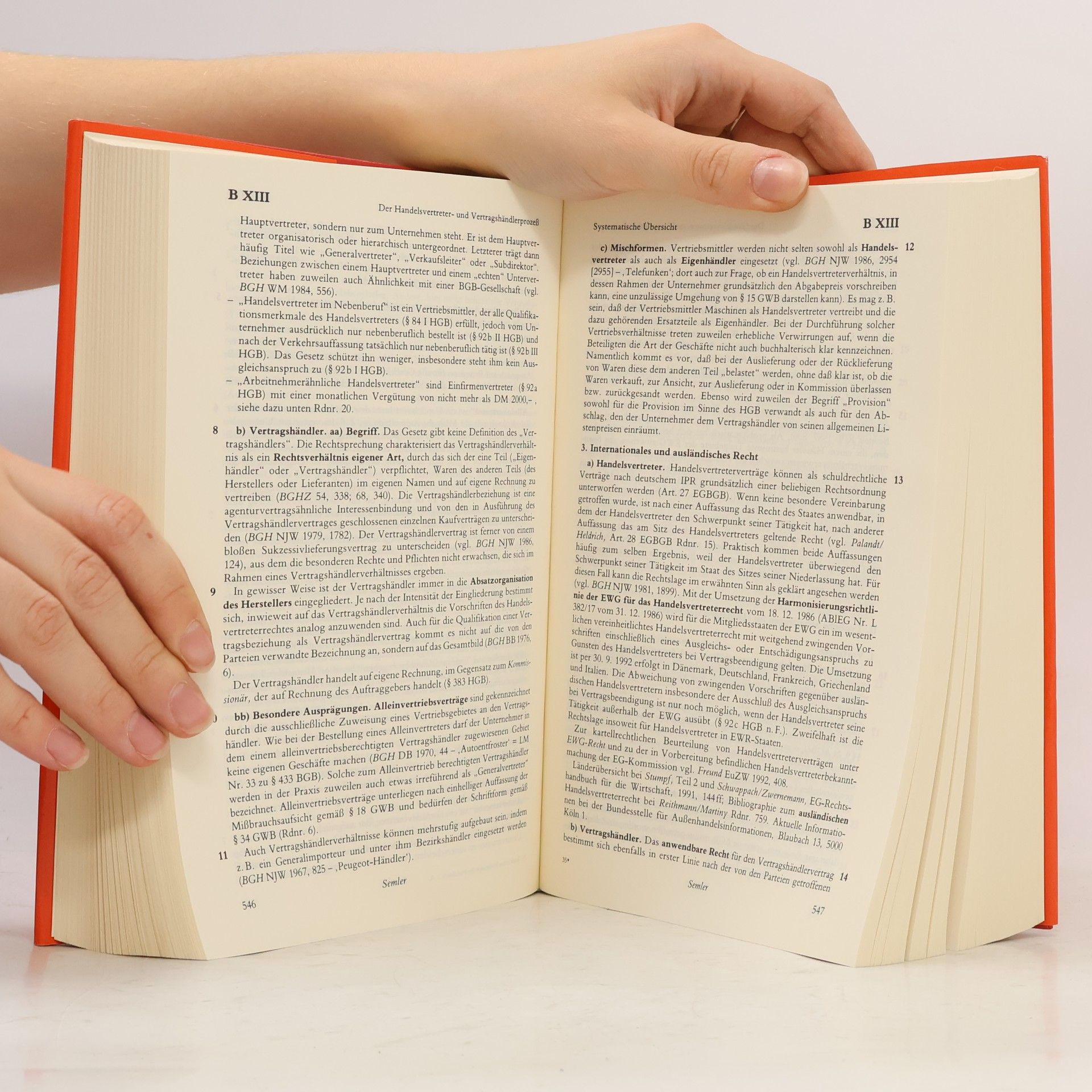 Beck'sches Rechtsanwalts-Handbuch