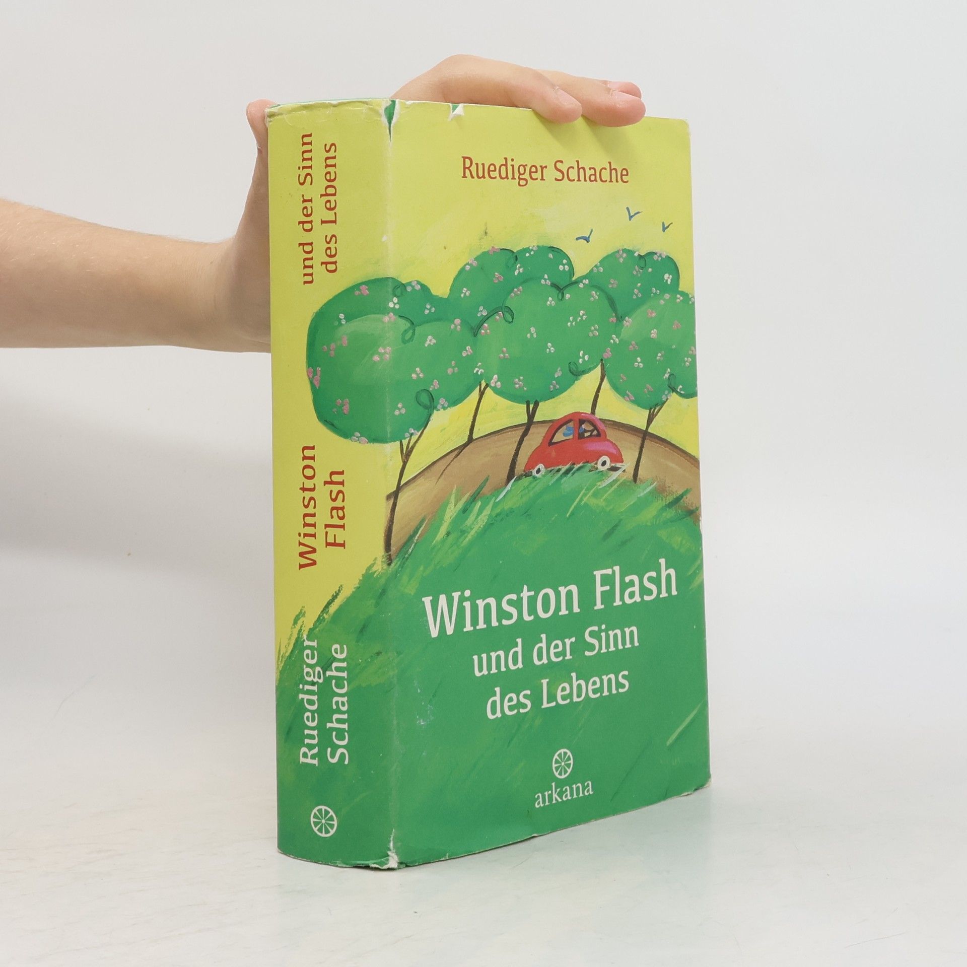 Winston Flash und der Sinn des Lebens