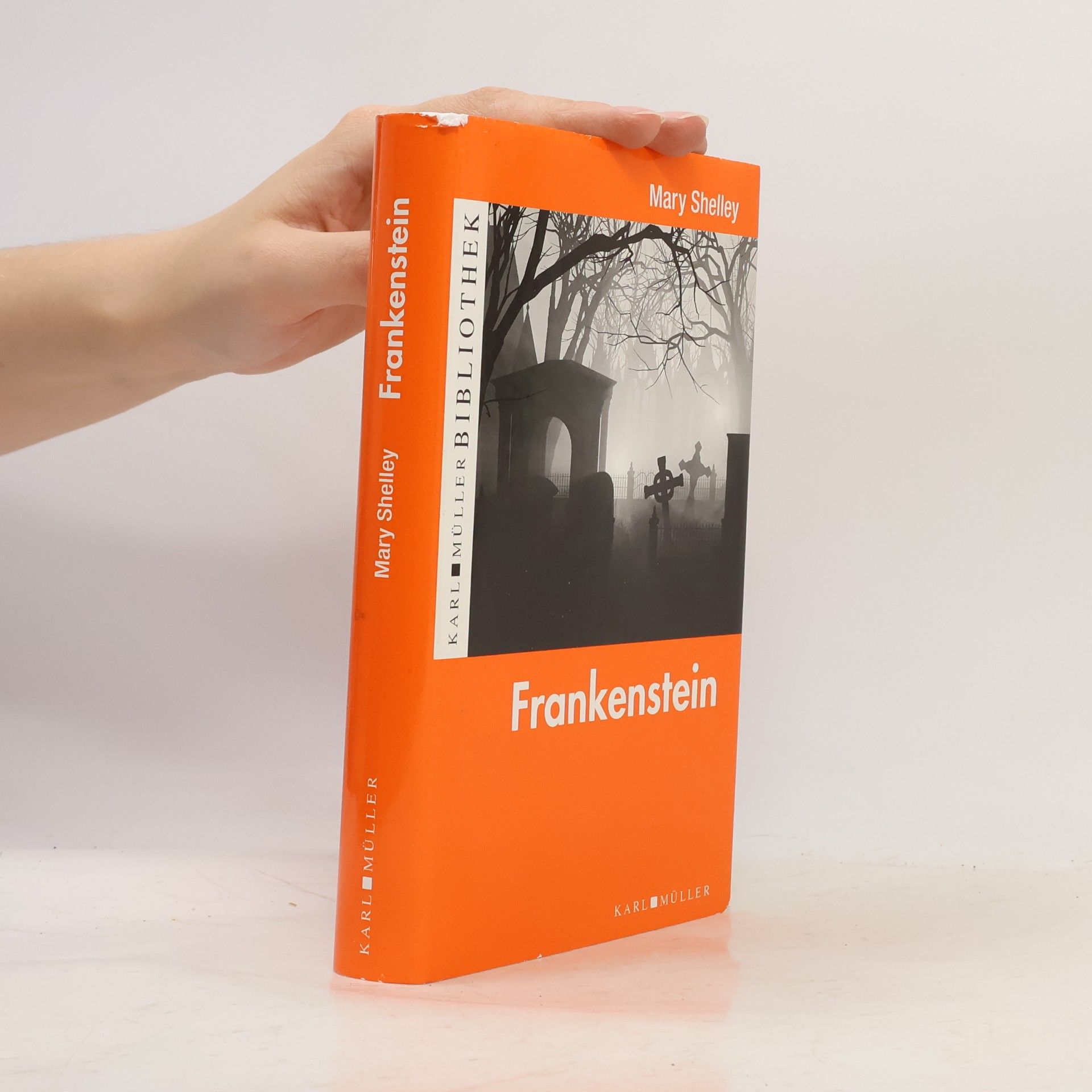 Mary Shelley Frankenstein