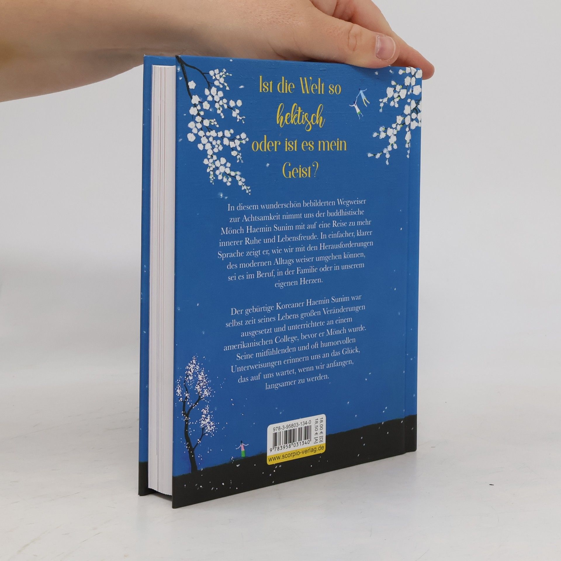 Haemin Die schönen Dinge siehst du nur, wenn du langsam gehst