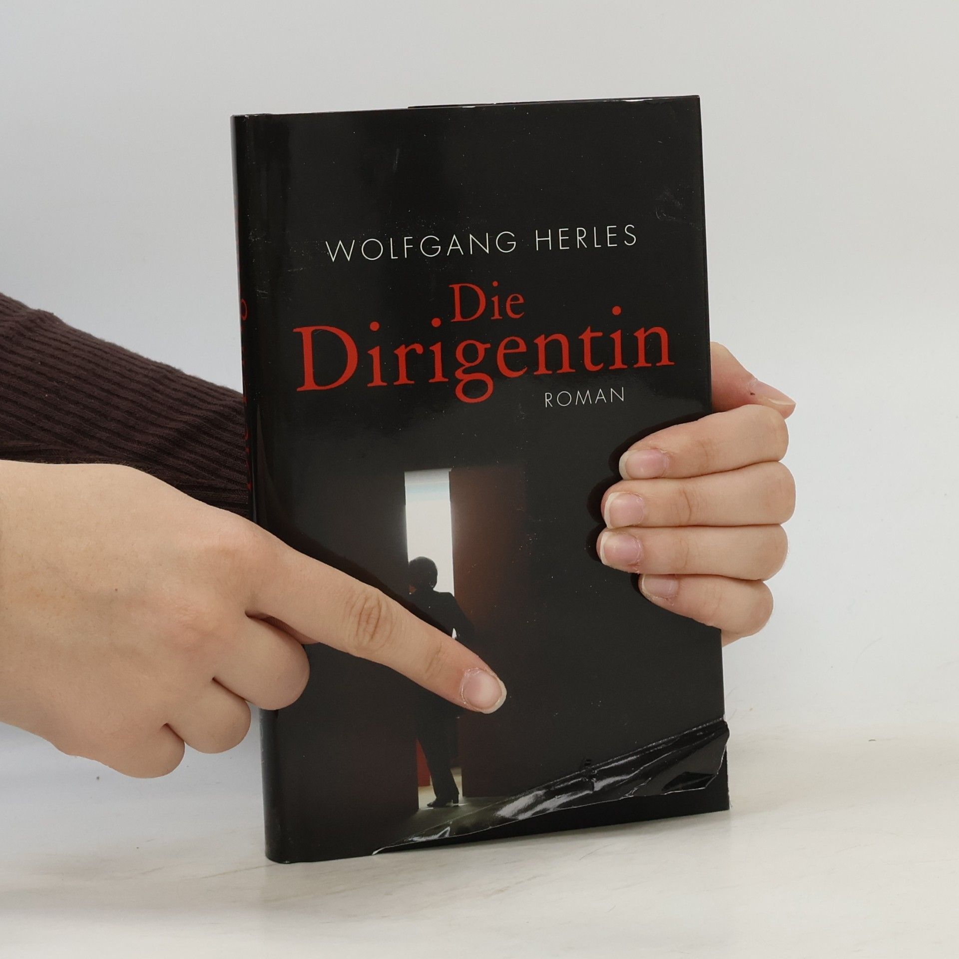 Wolfgang Herles Die Dirigentin