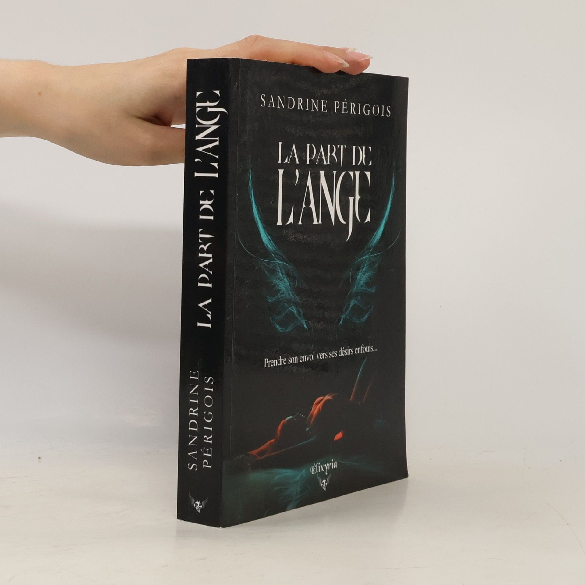 Sandrine Périgois La part de l'ange