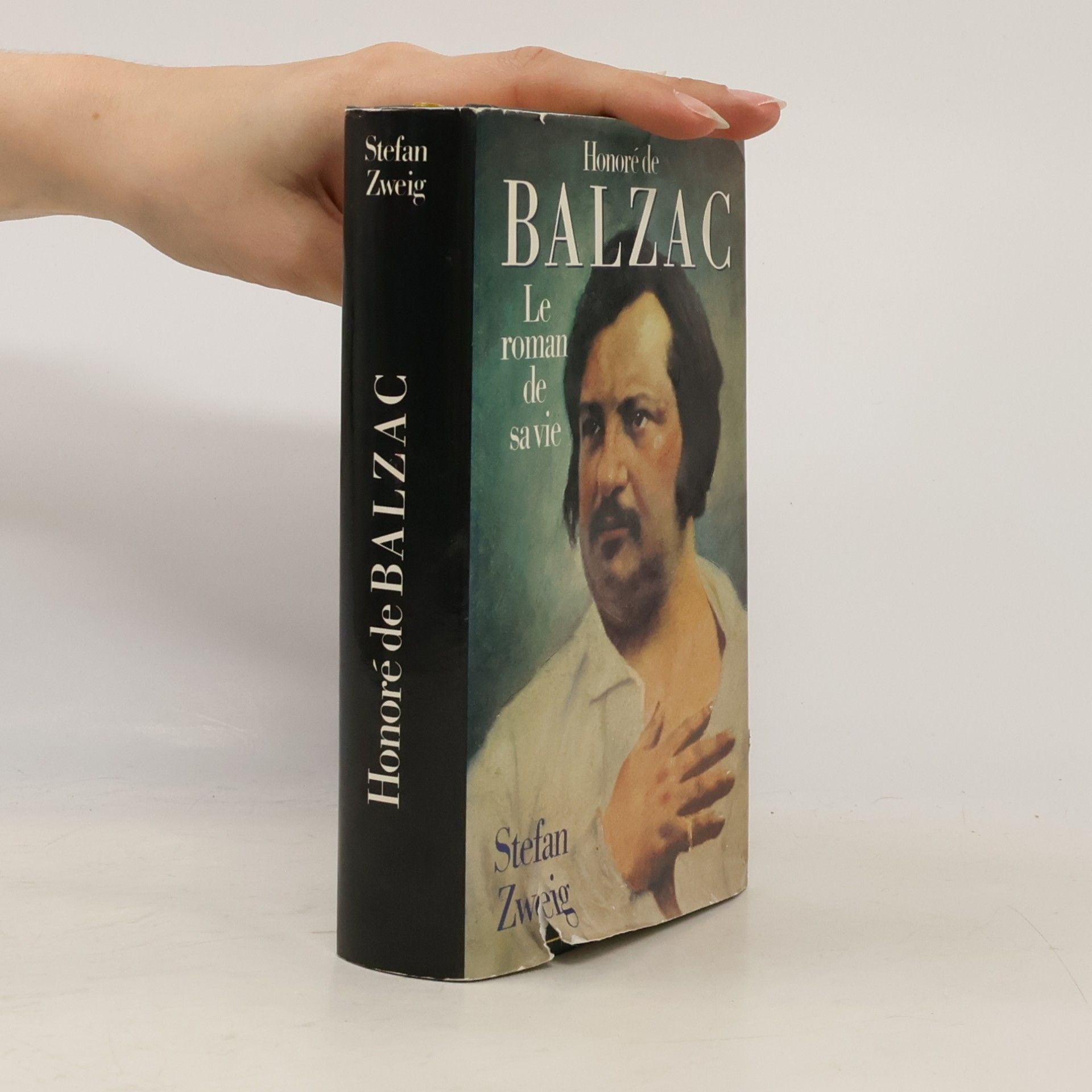 Honoré de Balzac. Le roman de sa vie