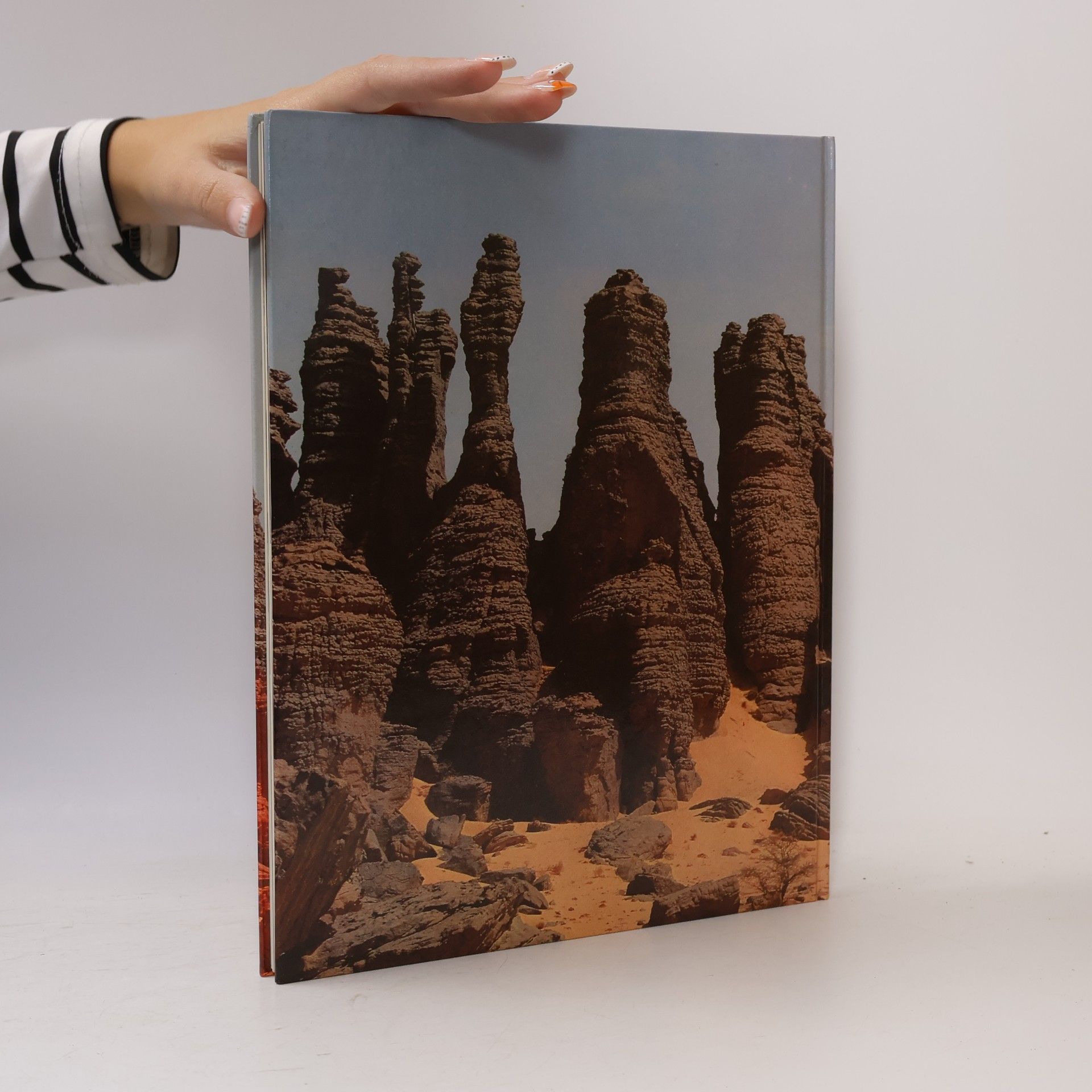 Reinhold Wepf Heisser Sommer in der Sahara