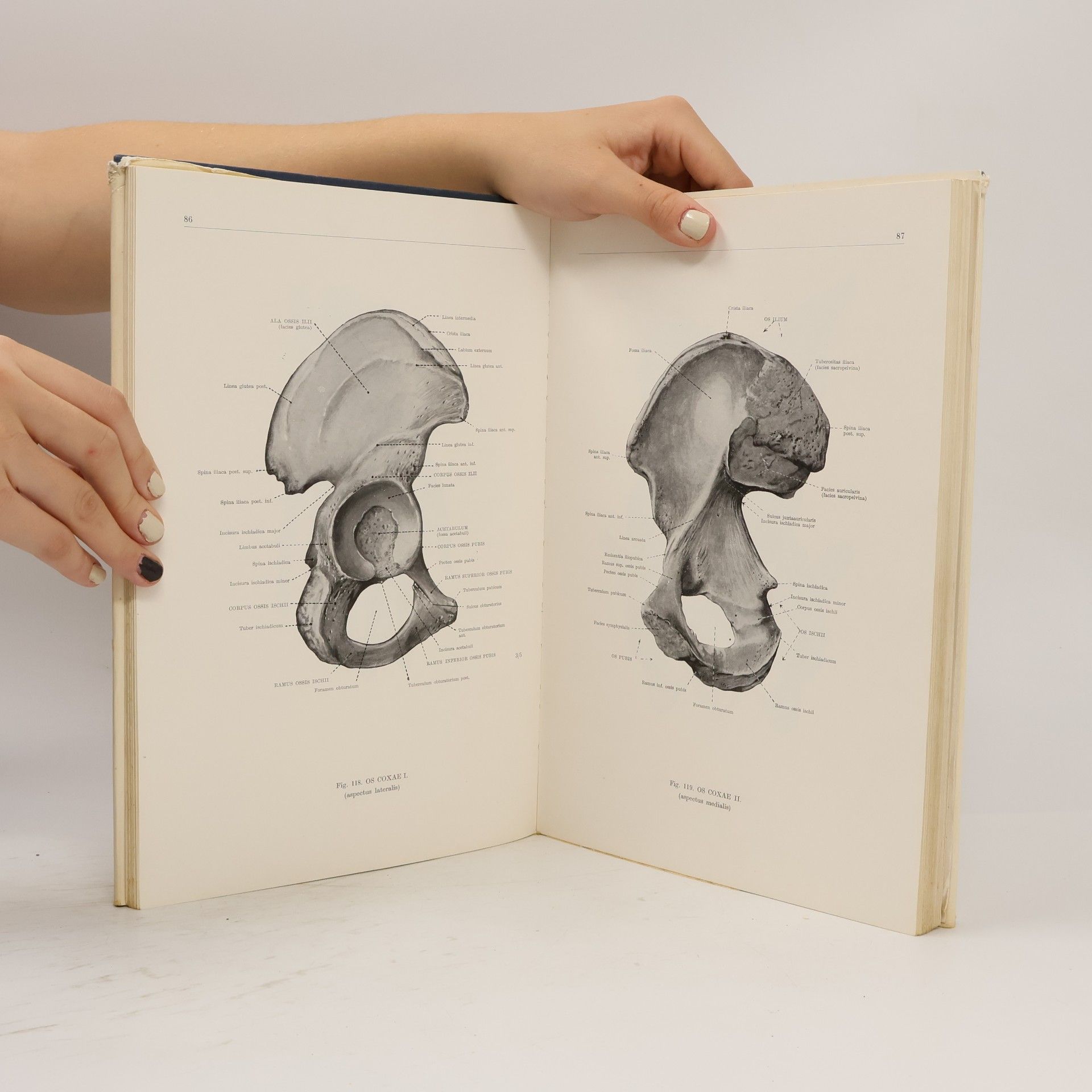 Ferenc Kiss Atlas anatómie človeka