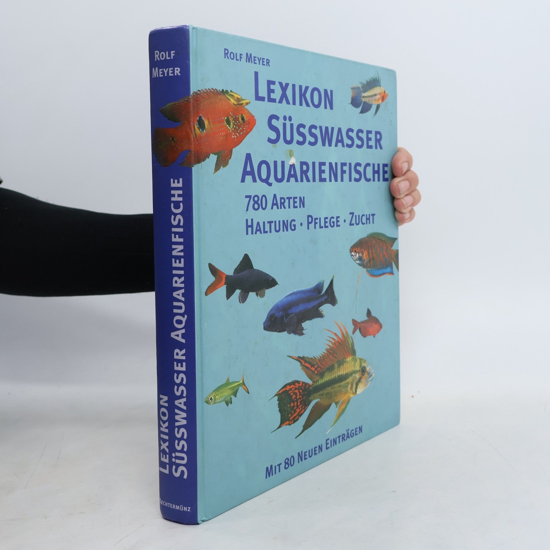 Lexikon Süßwasser Aquarienfische