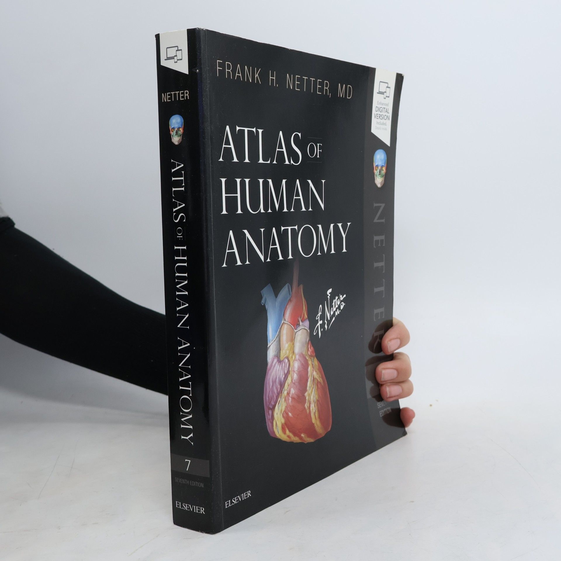 Frank H. Netter Atlas of Human Anatomy 7
