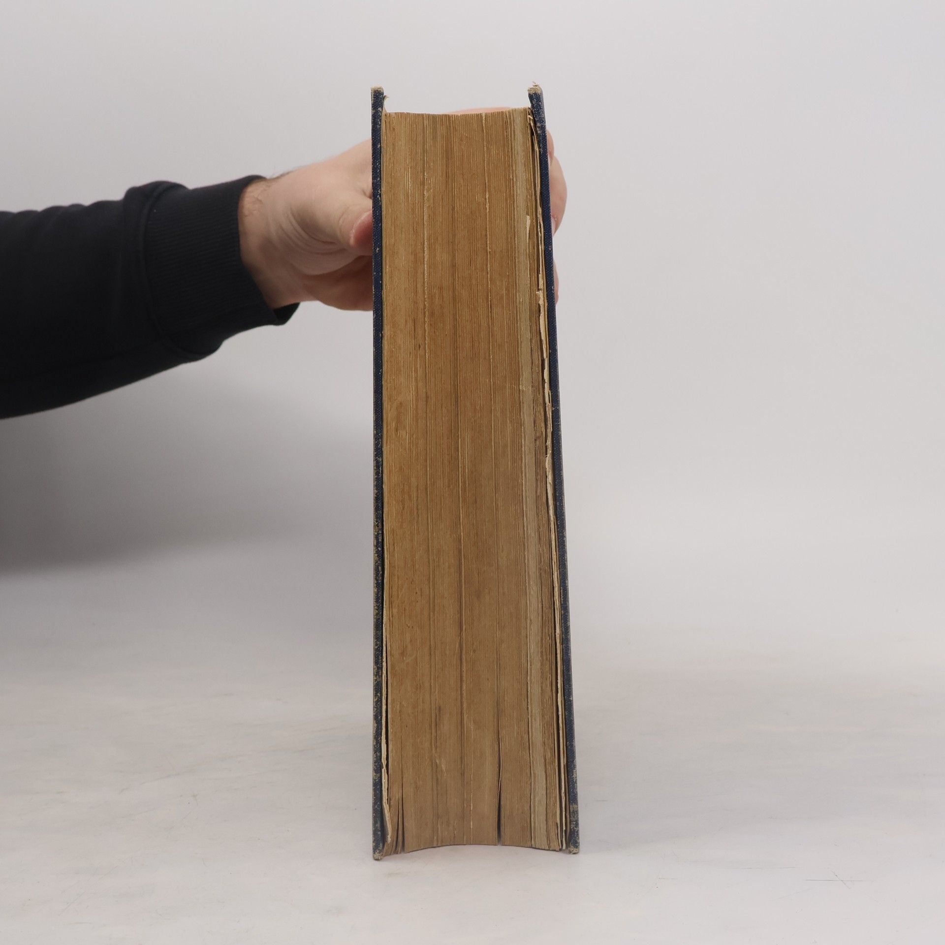 Autores varios Praktischer Hausschatz der Heilkunde