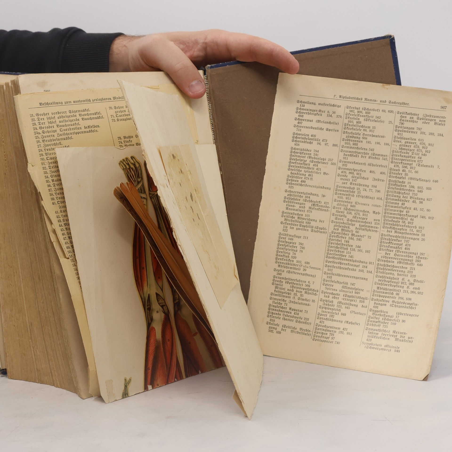 Autores varios Praktischer Hausschatz der Heilkunde