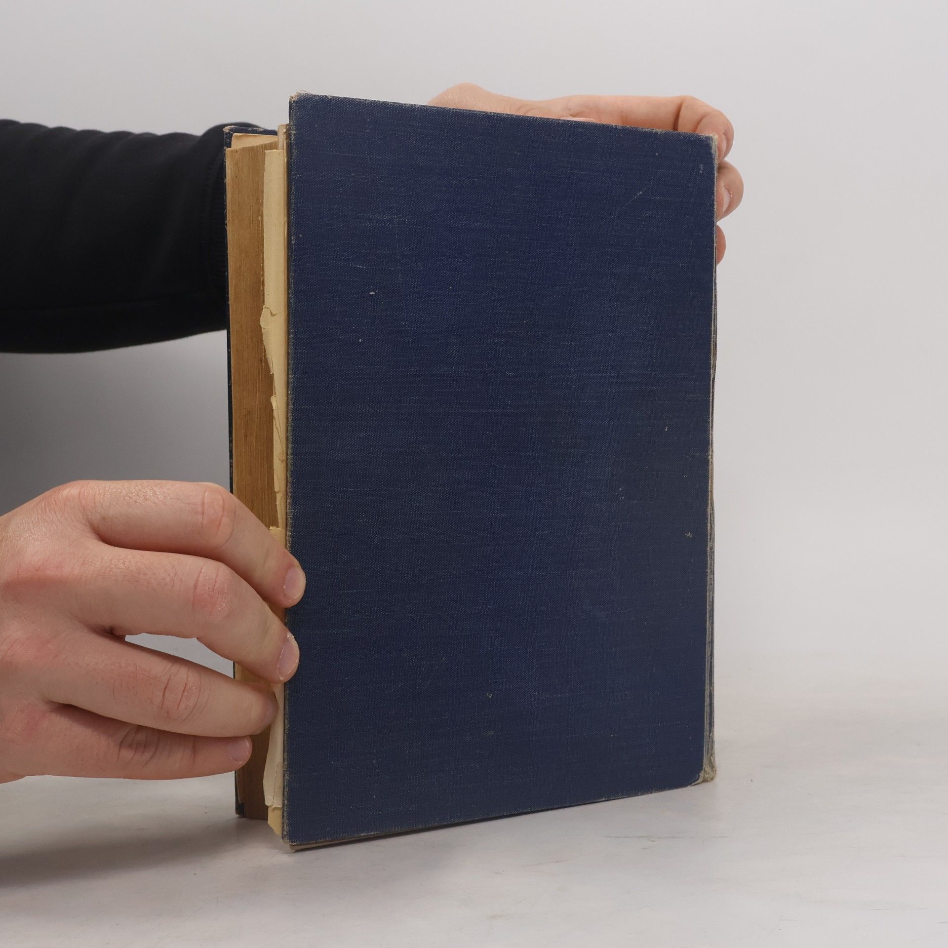 Autores varios Praktischer Hausschatz der Heilkunde